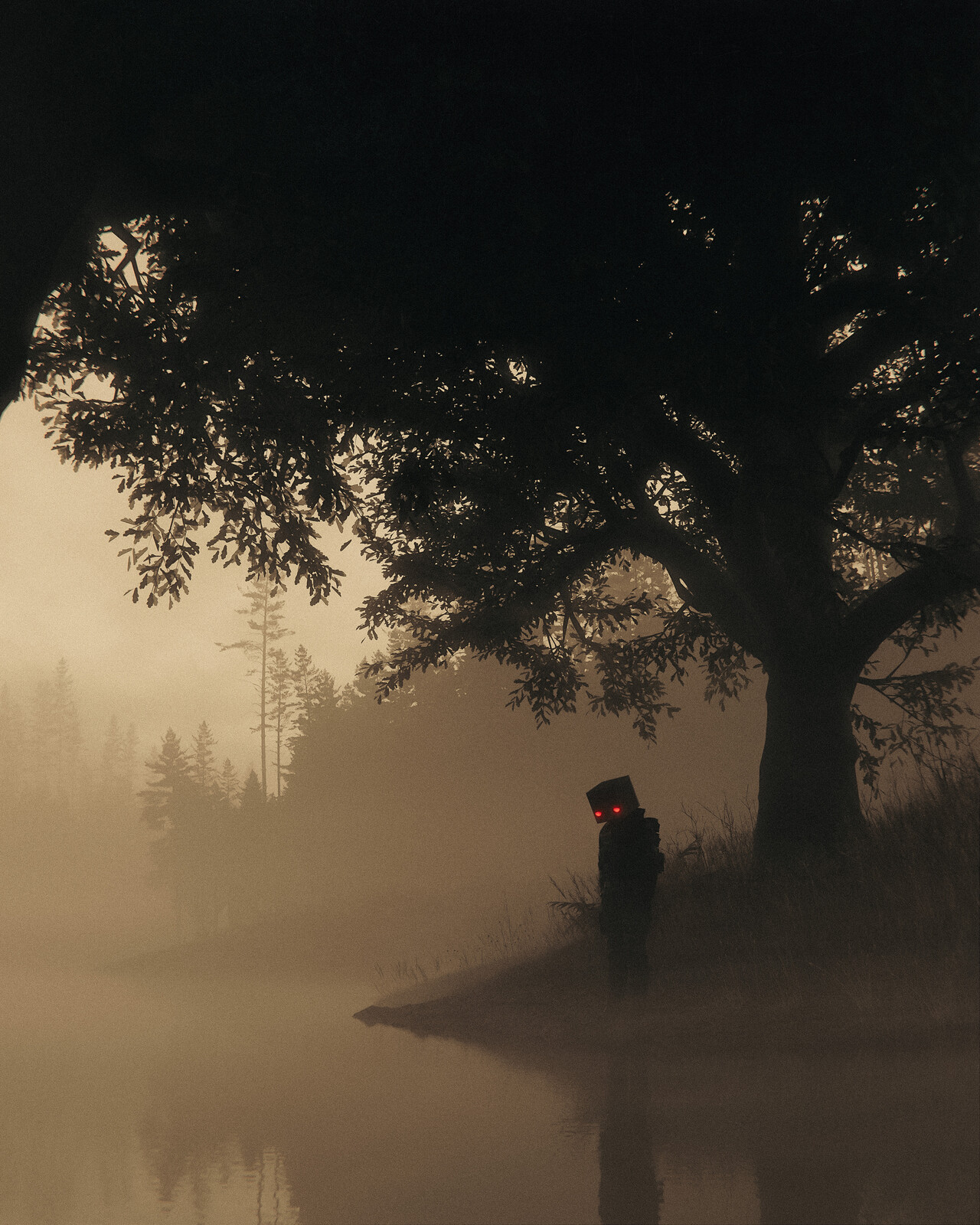 morning solitude