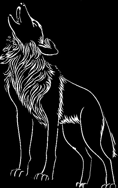Wolf spirit experiencing divine bliss ( sketch)
