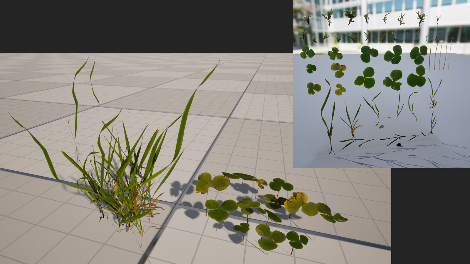 Plants Atlas
