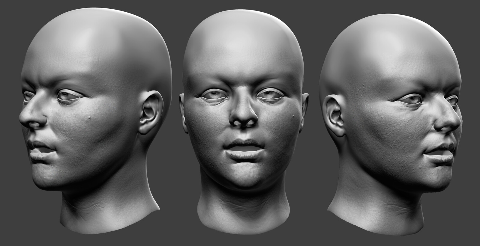 High Poly Sculpt