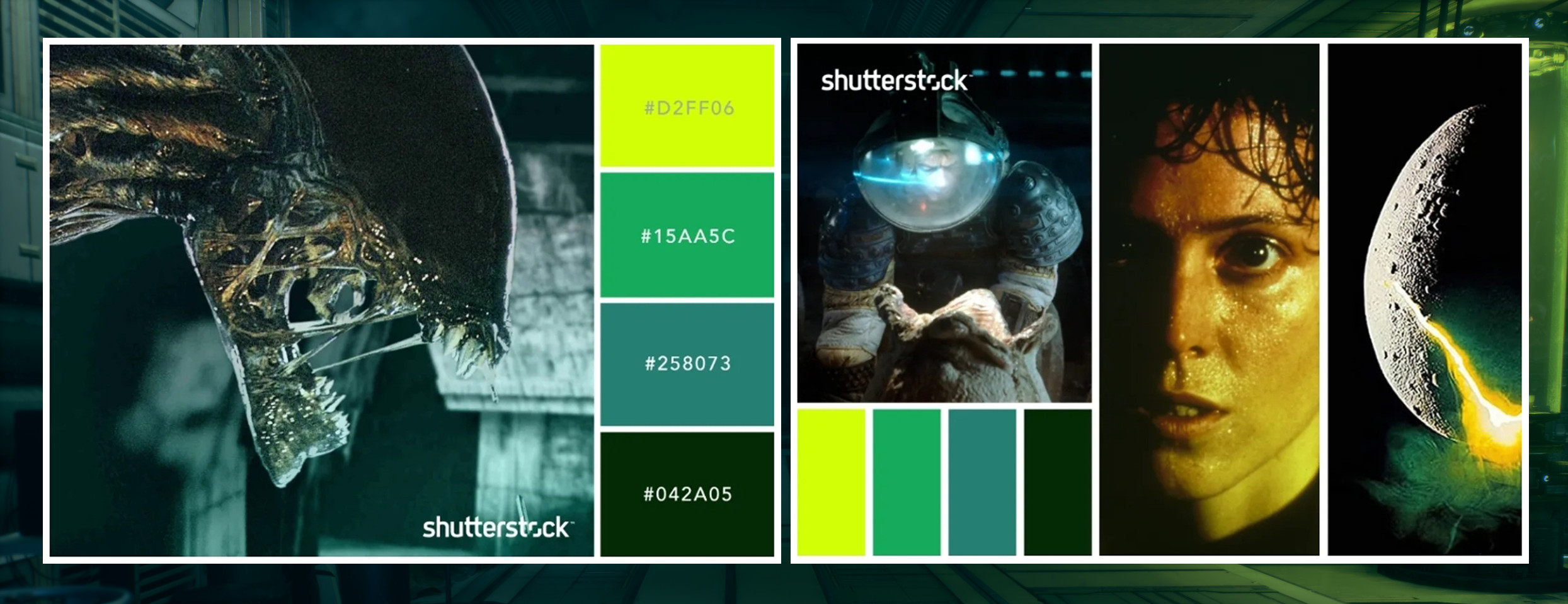 Color palette inspiration.