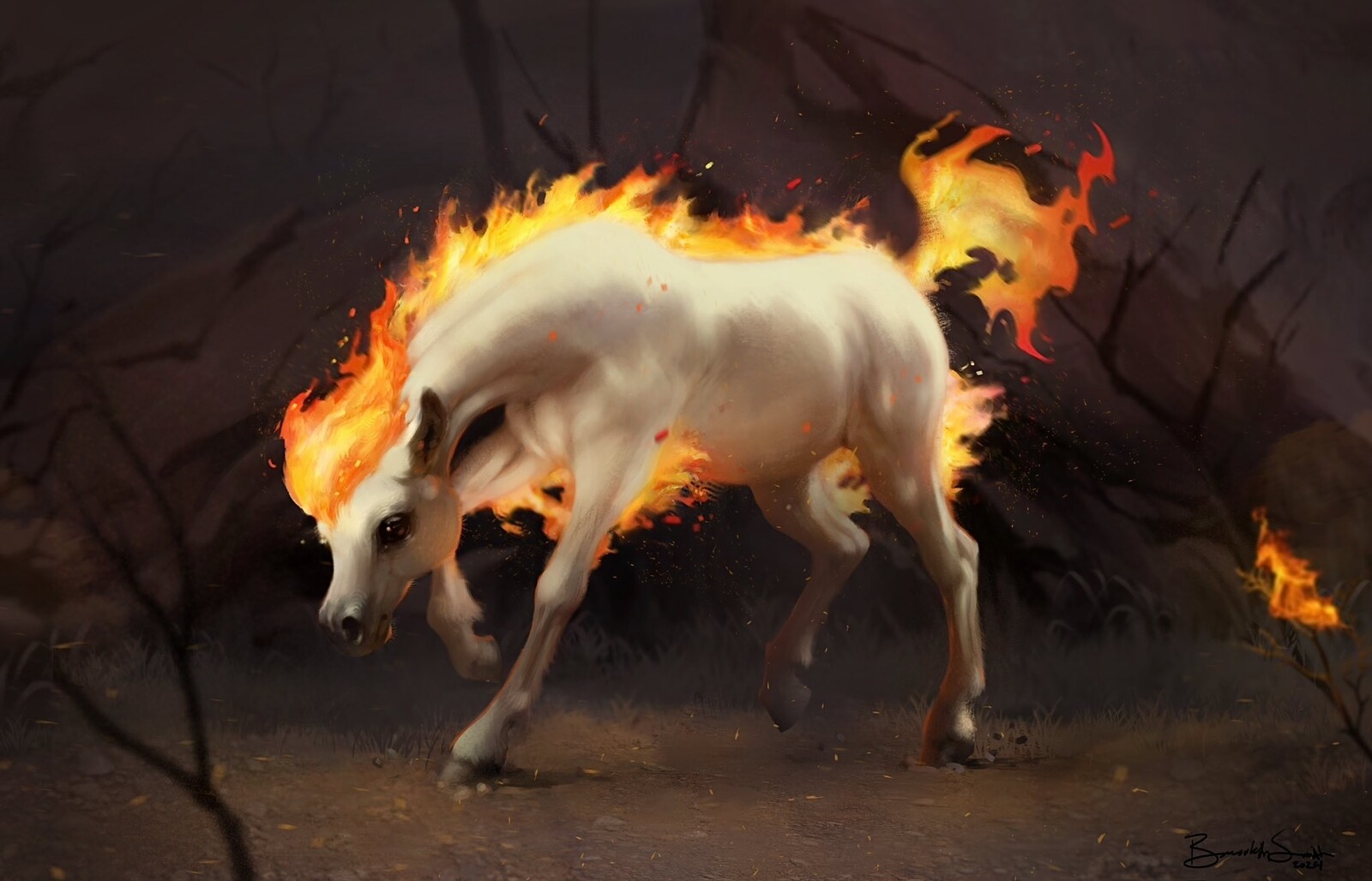 Ponyta