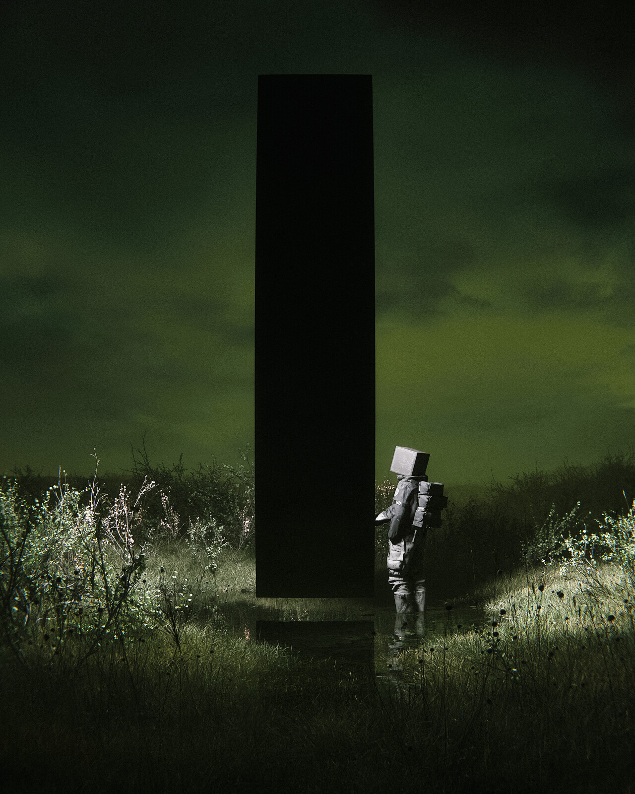 the silent witness