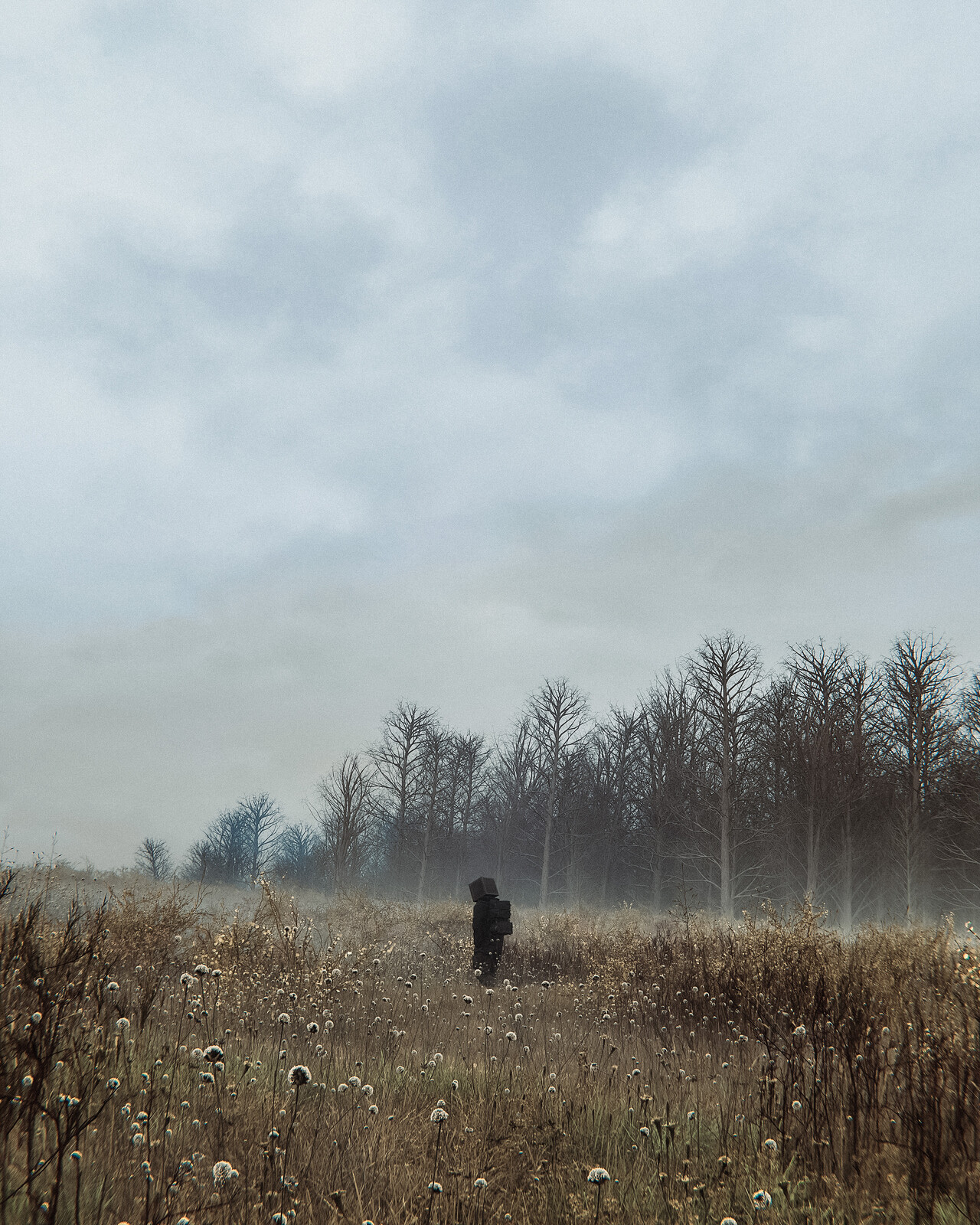 field of rank 14