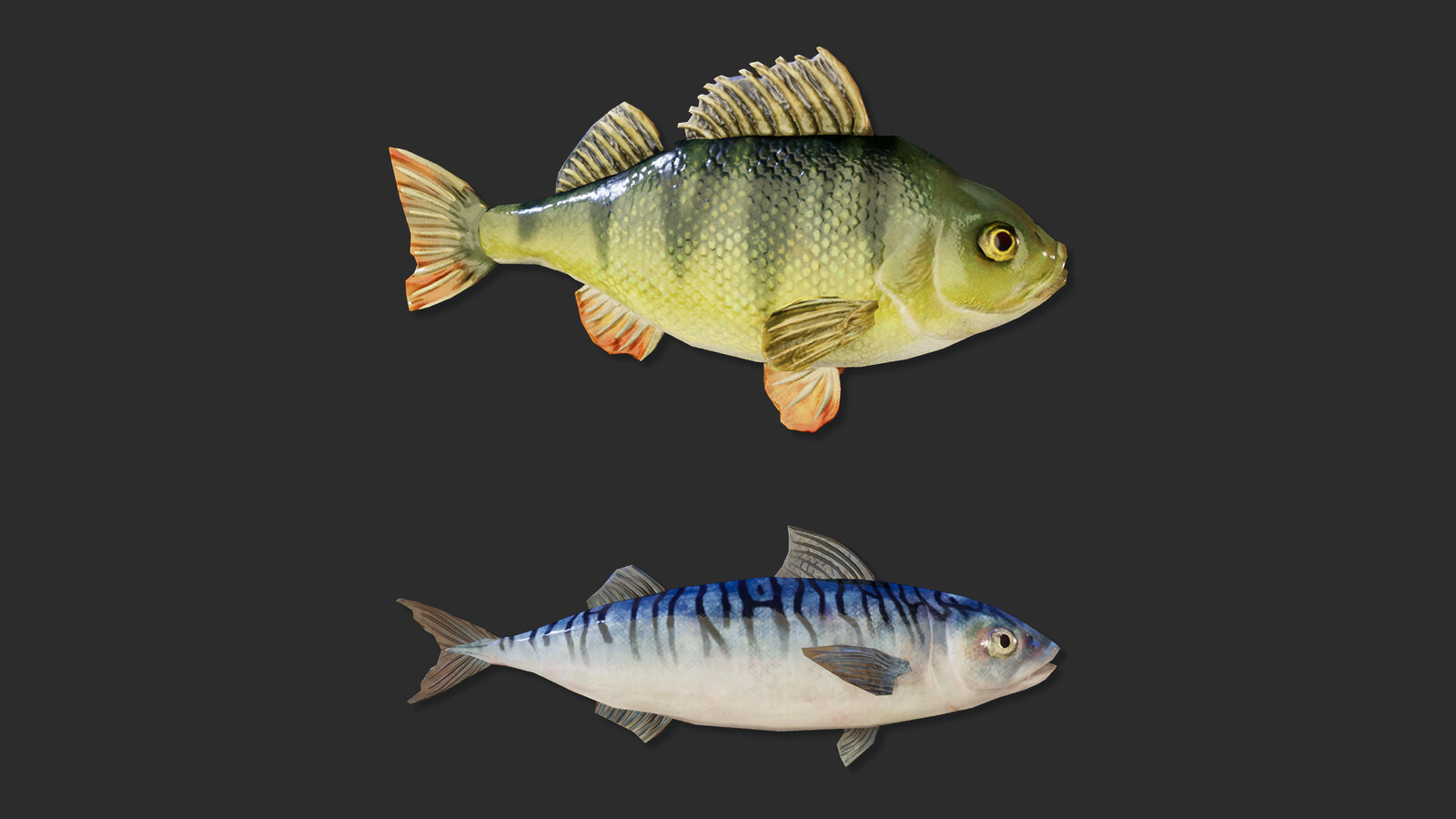 Perch and Mackerel