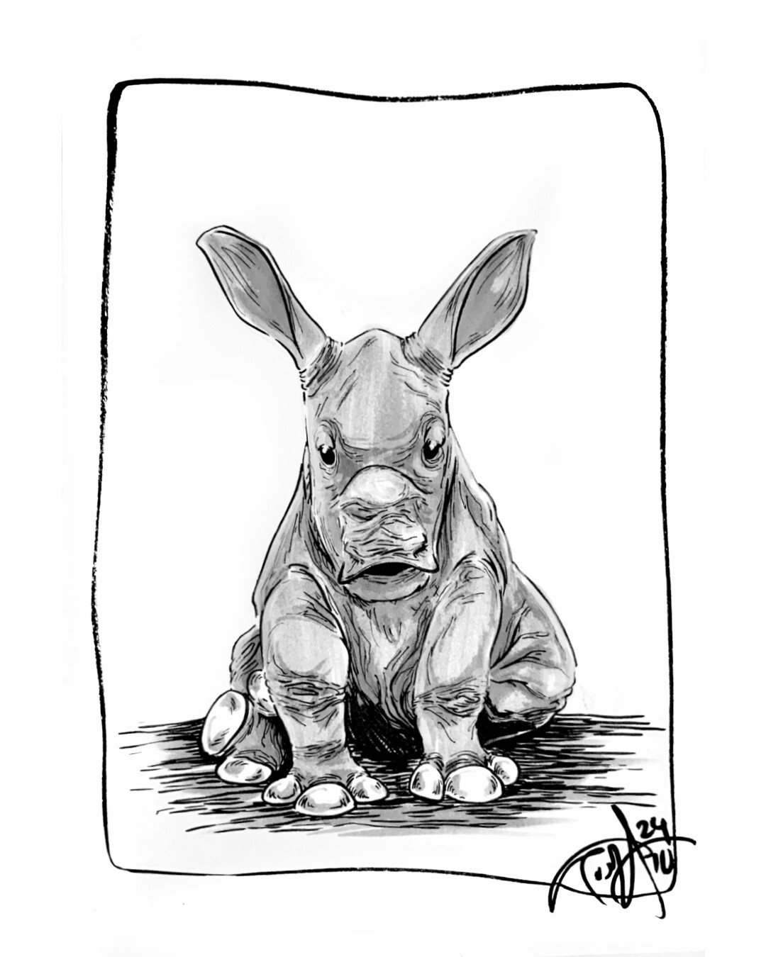 21-Rhinoceros