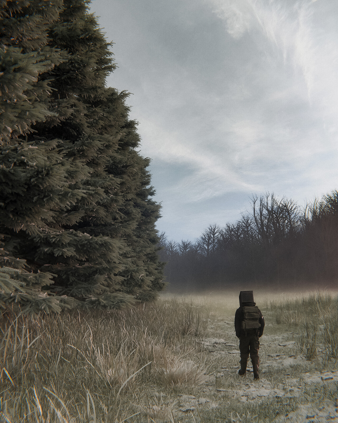 the first frost