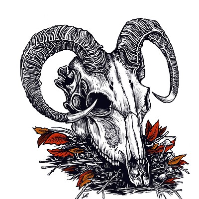 Goat Skull