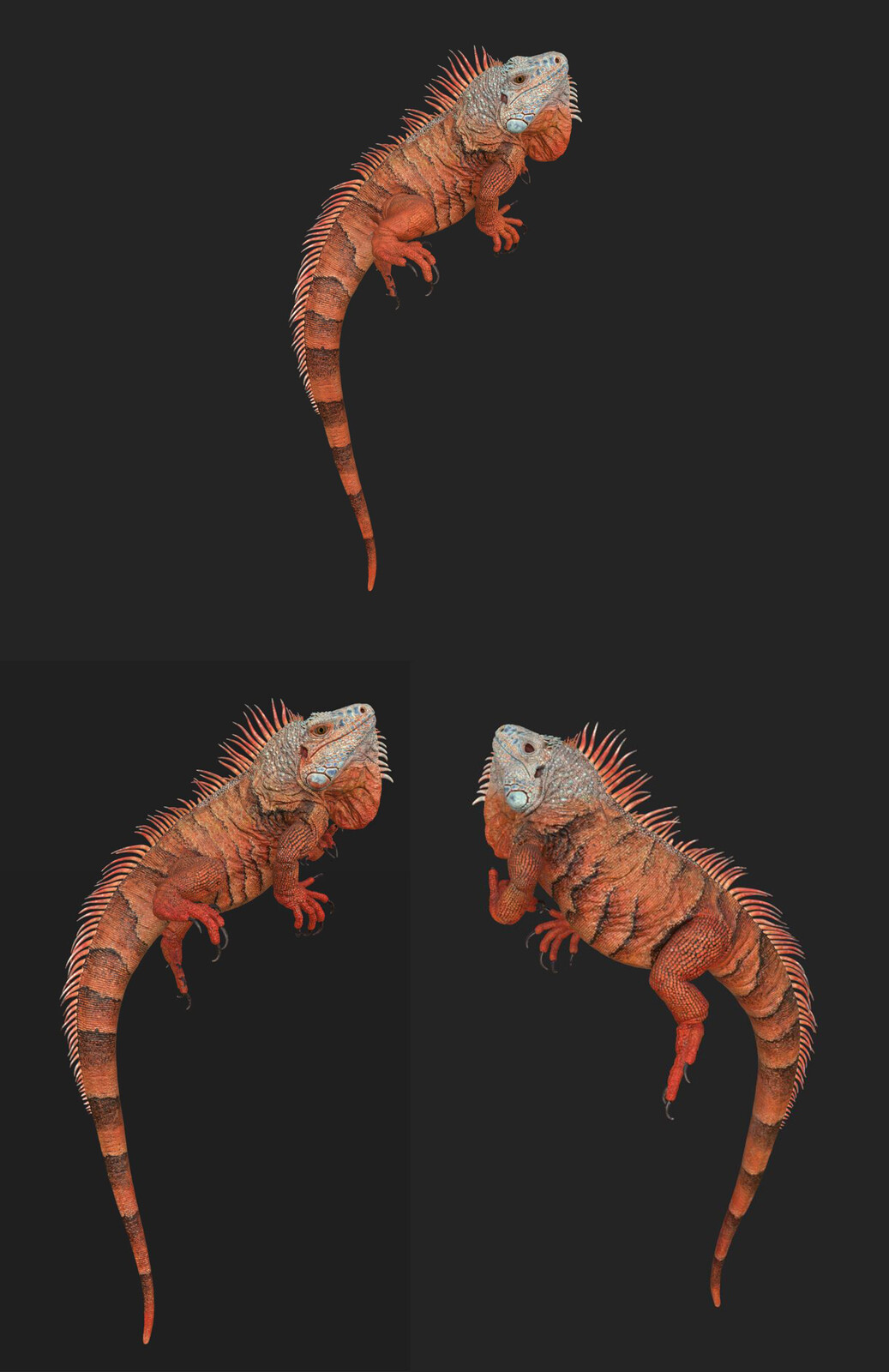 Iguana_Texturing painting process6