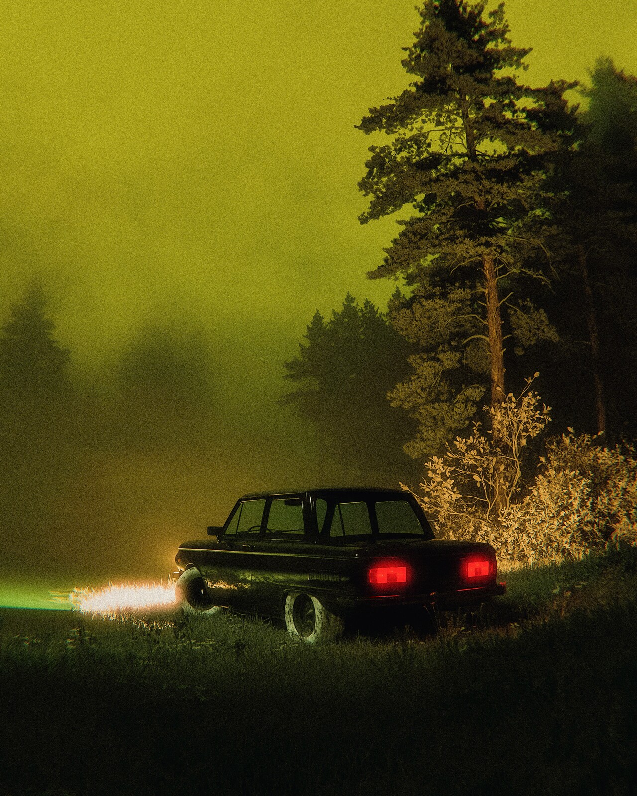 nocturnal outing