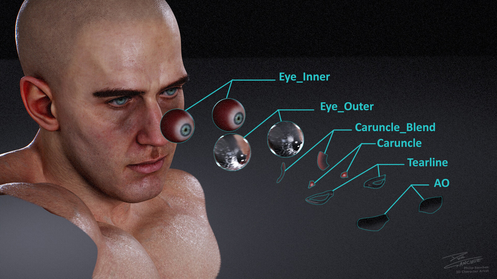All the elements that go into the eye setup. 
