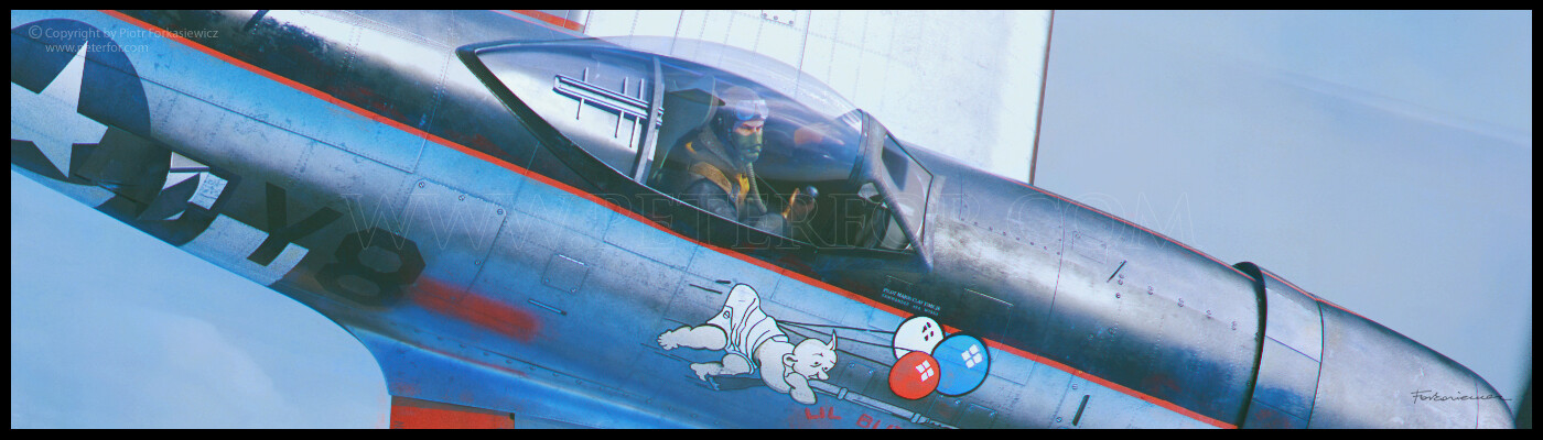 piotr-forkasiewicz-bf109-vs-p47-02.jpg?1