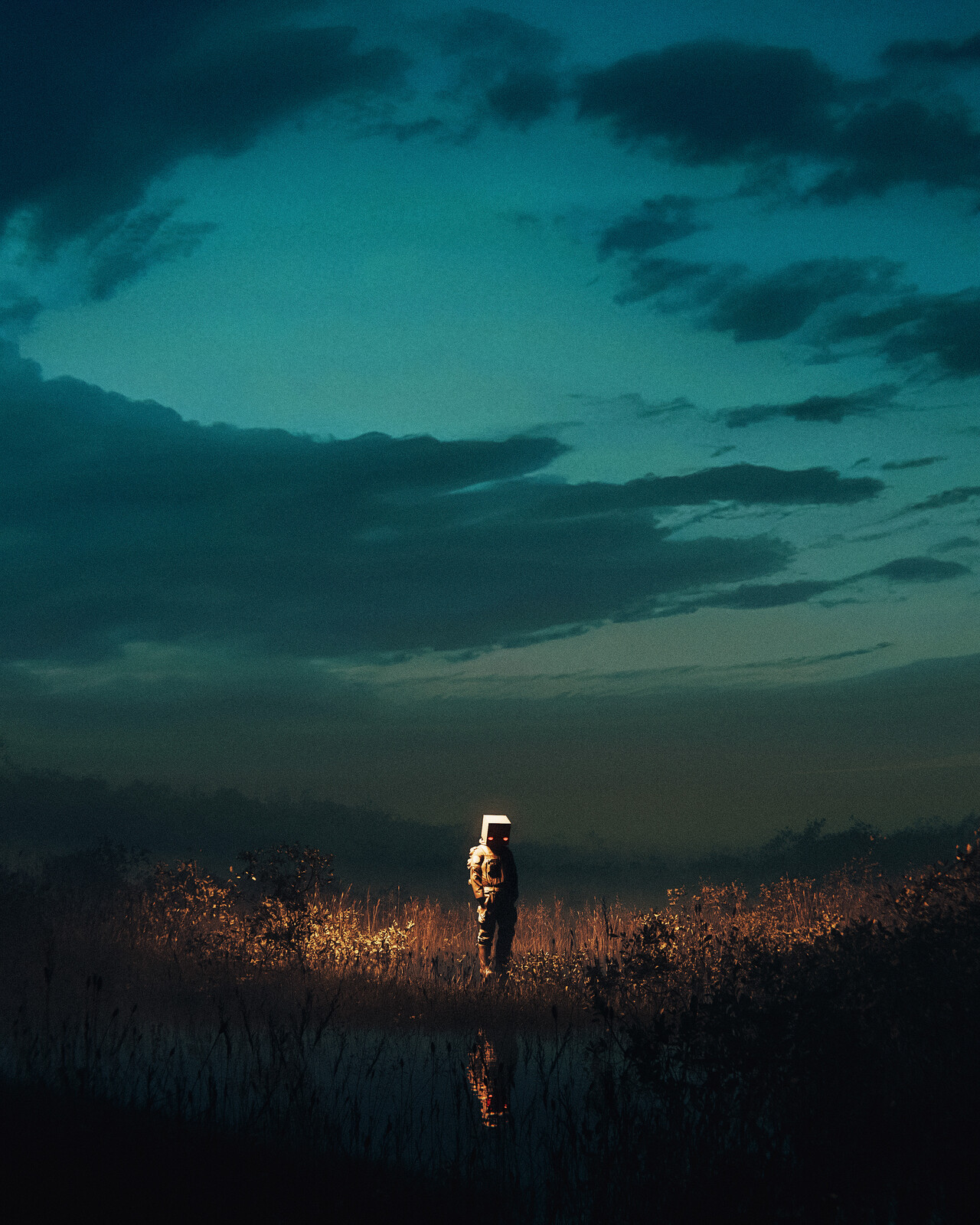 field wanderer