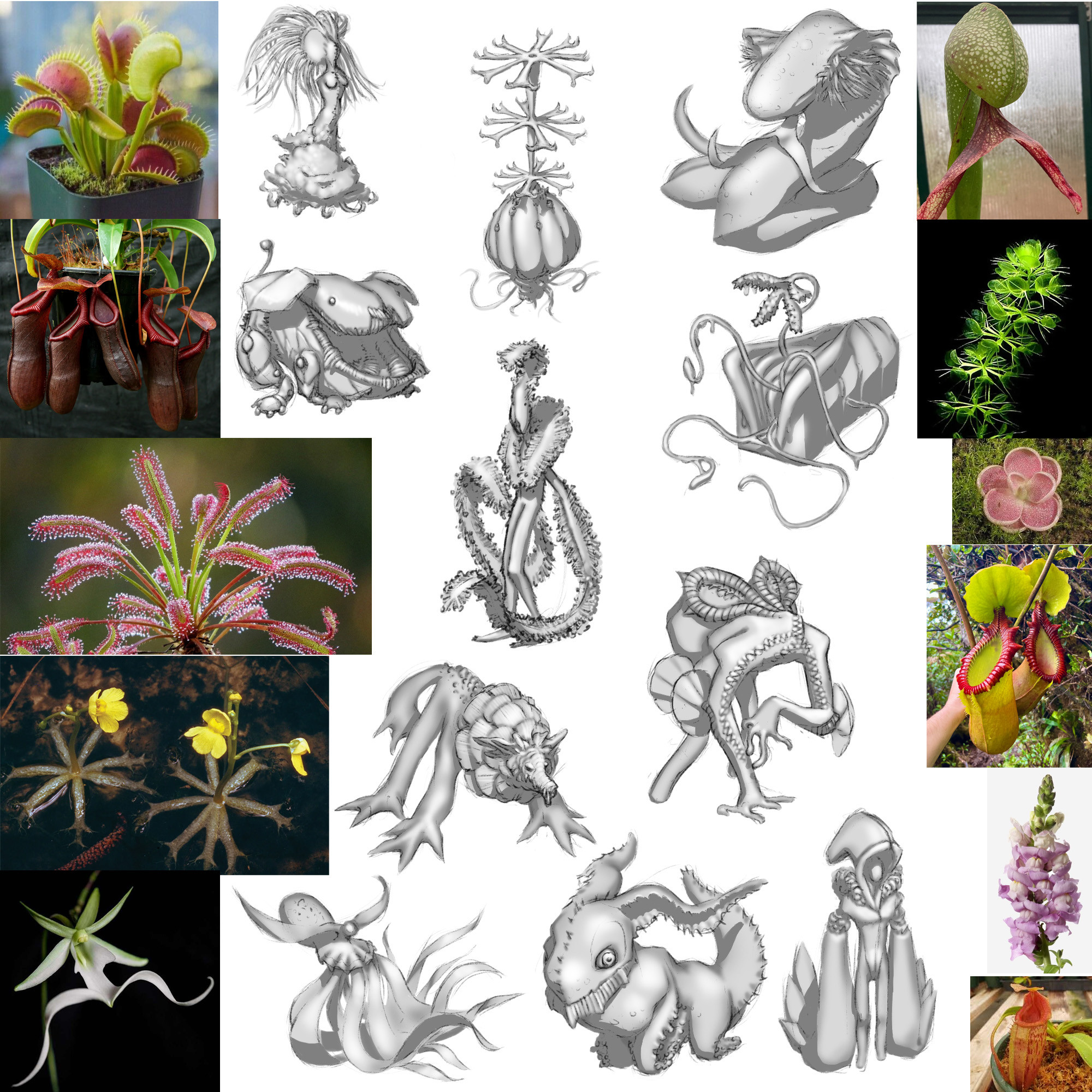This second page of thumbnails continues exploring carnivorous plant-inspired character concepts, blending real-world references with imaginative designs. Each concept evolves natural forms into fantastical and predatory beings, building upon the creative
