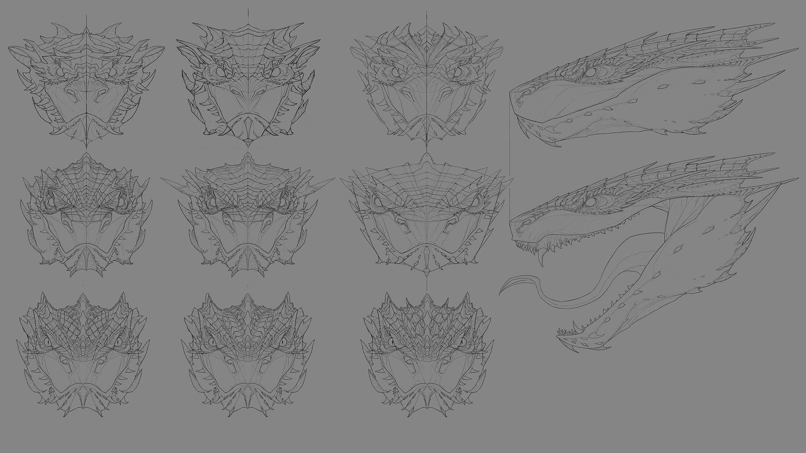 Head front sketches