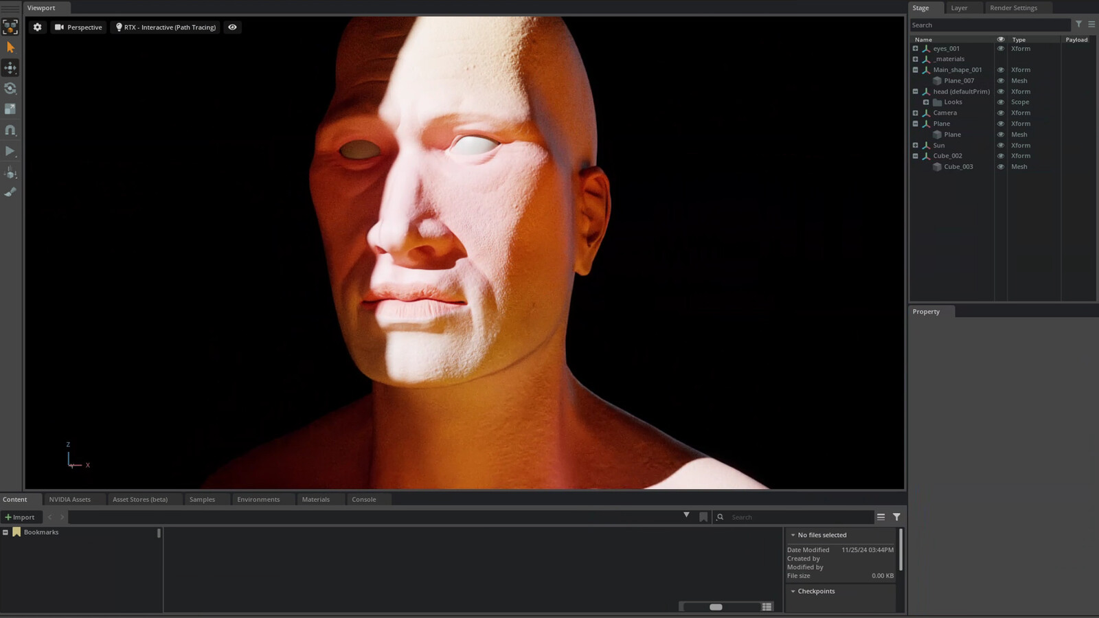 Omniverse viewport