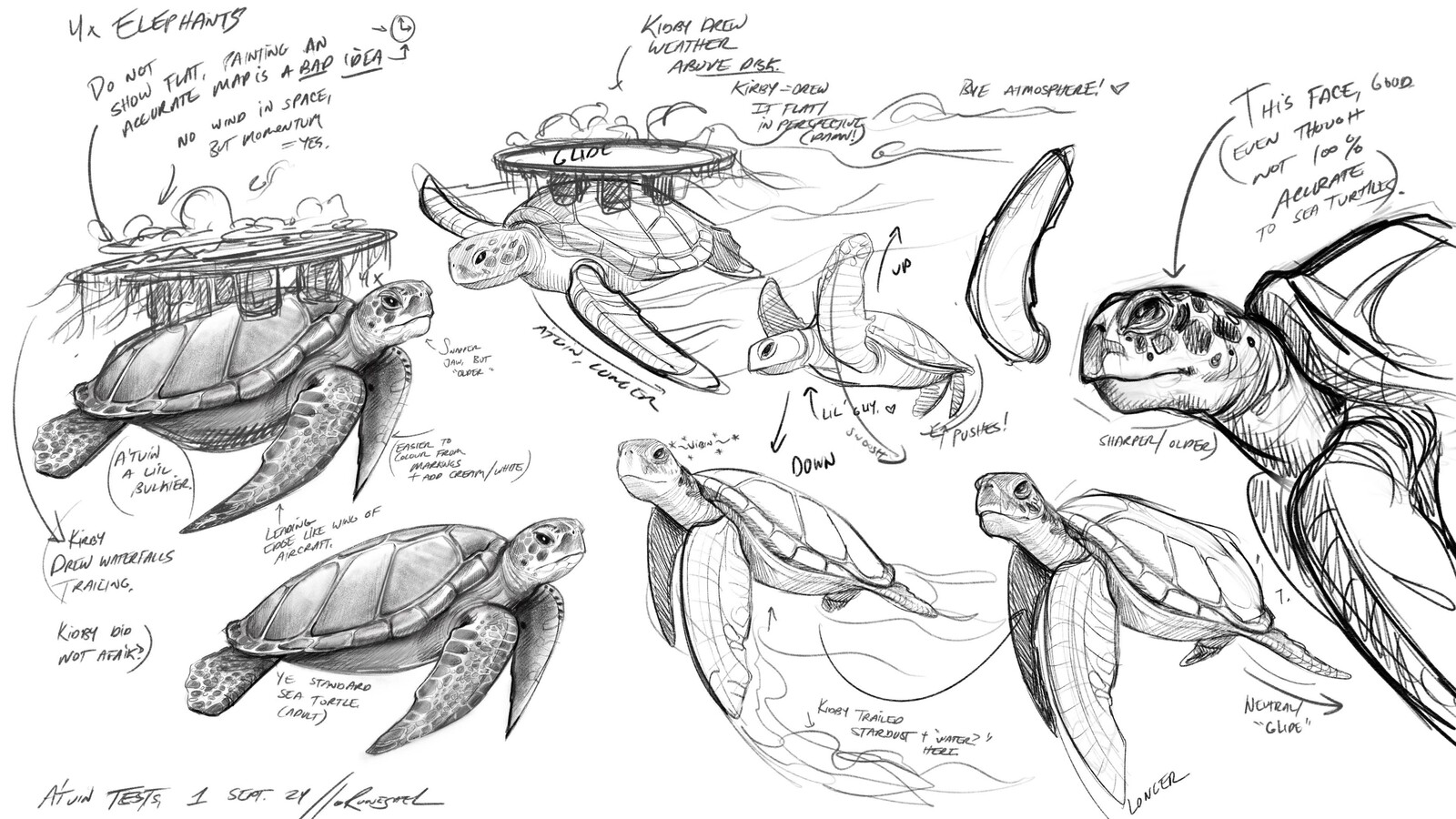 These were the studies I did of sea turtles to figure out what parts of the turtle I needed to have separated for the sake of animation.