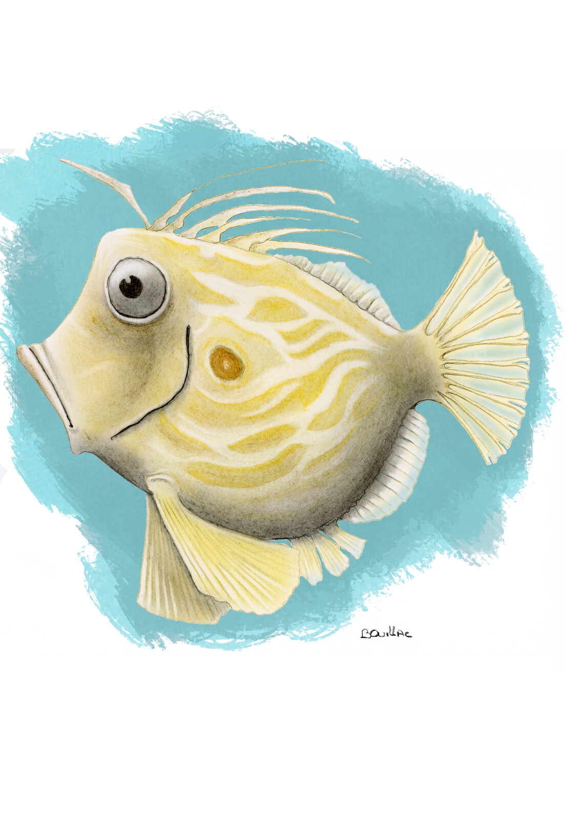 saint pierre fish