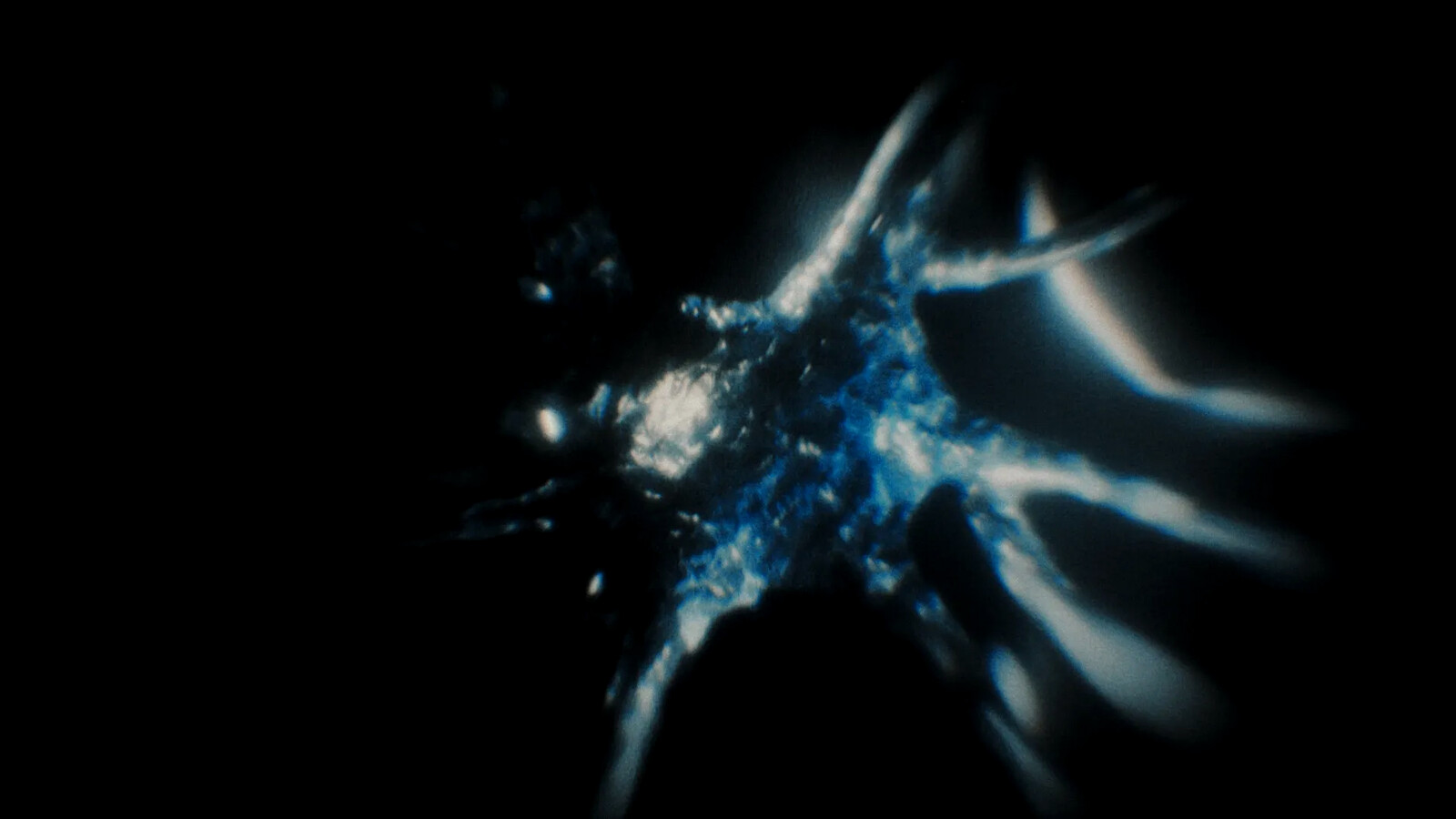 still from final sequence (modelled nerves)