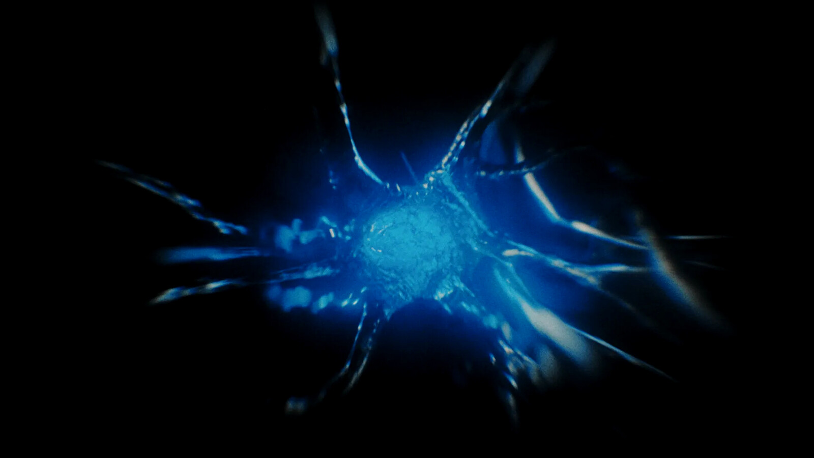 still from final sequence (modelled nerves
