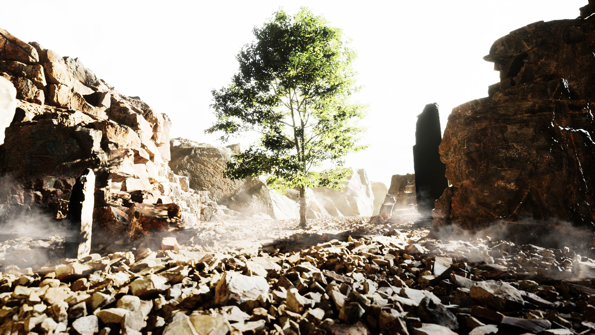 ArtStation - Growing Around The Rocks