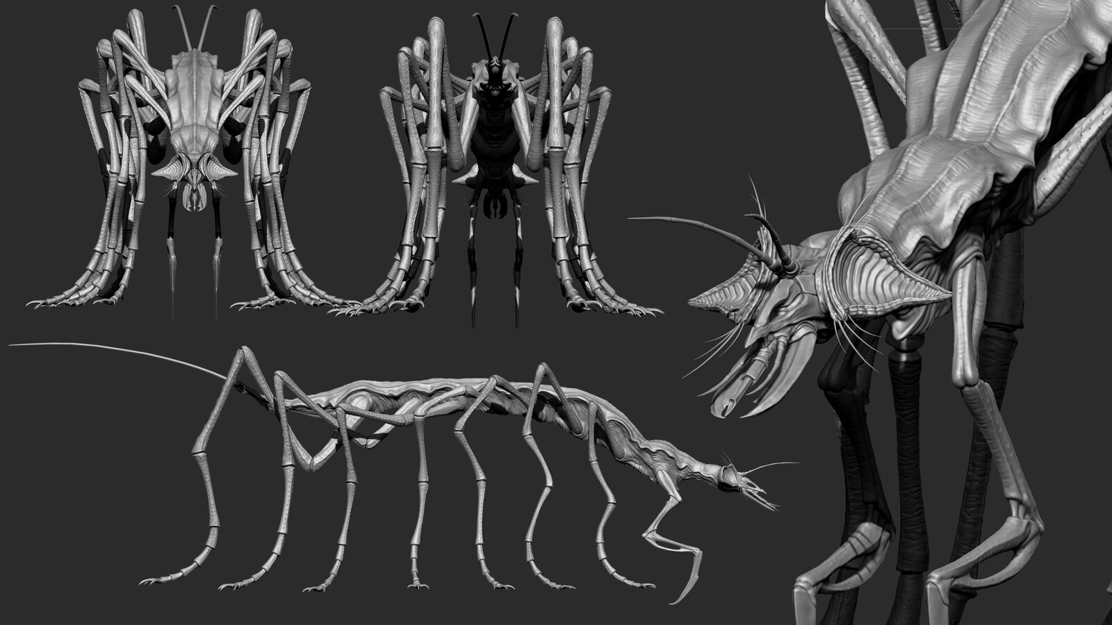 Sculpt View