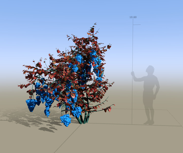 Blue raspberry bush