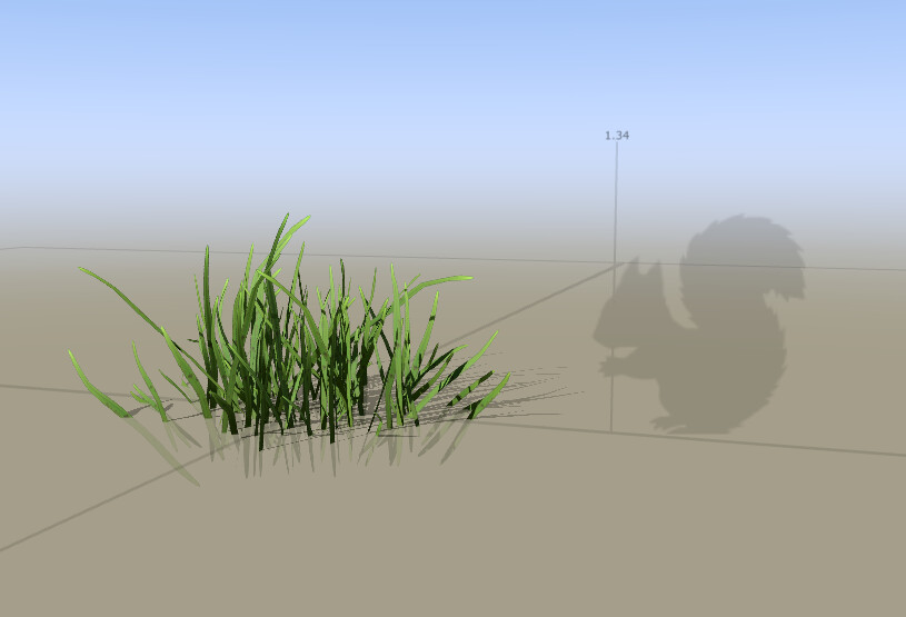 Grass