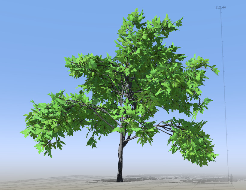 Variation