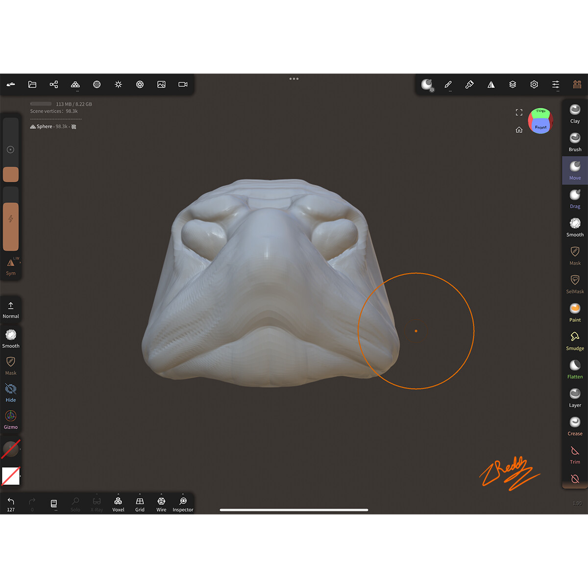 3D Model of a Diamondback Terrapin (Front View)