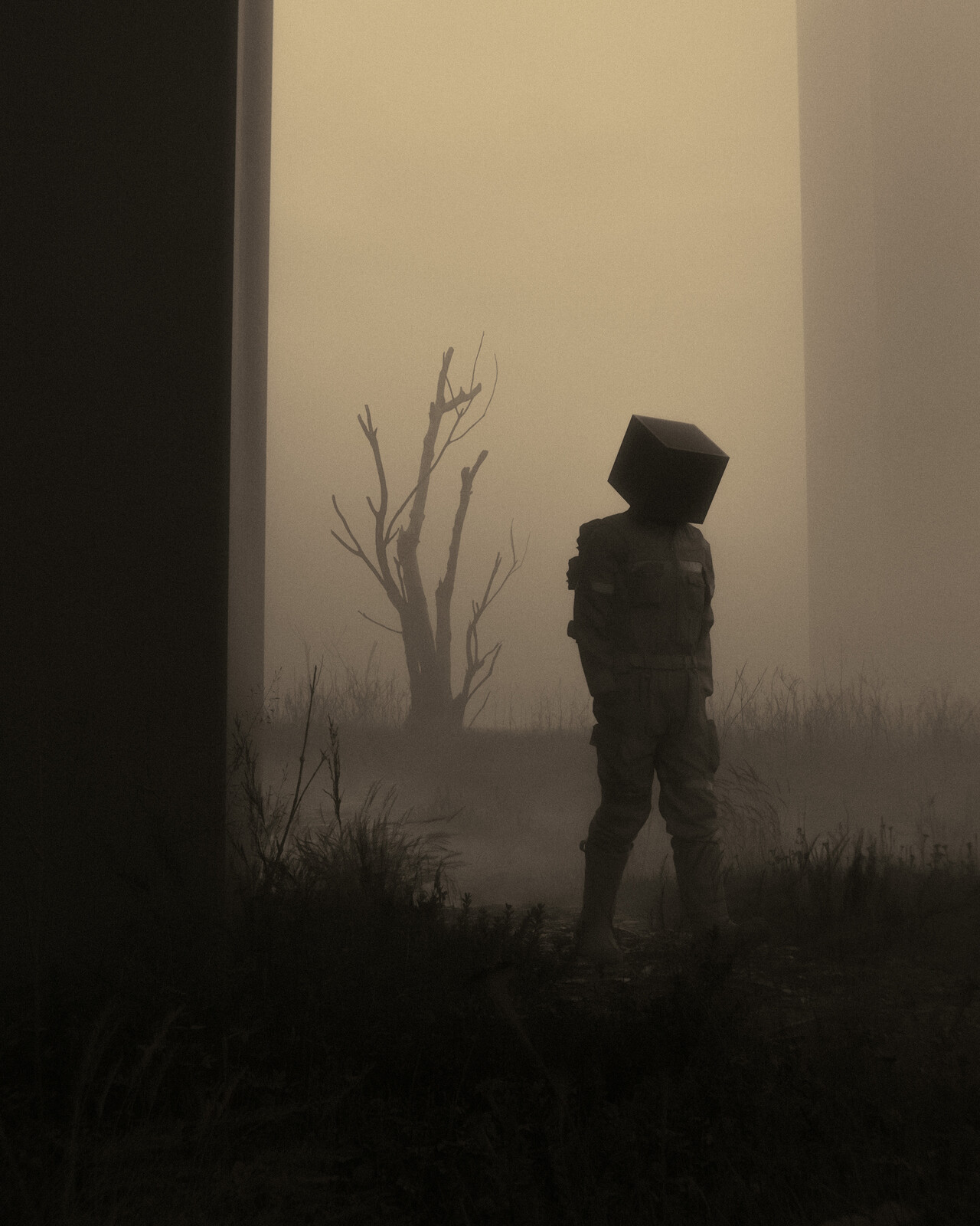 veil of unknown