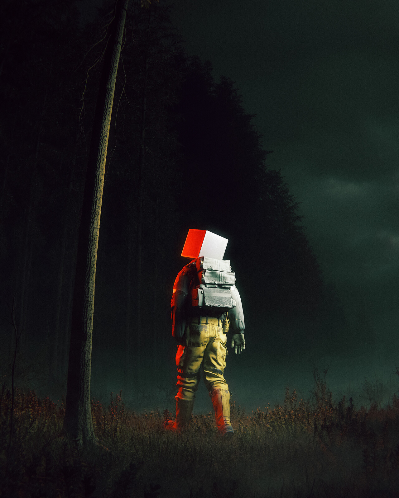 the tale of the pine forest