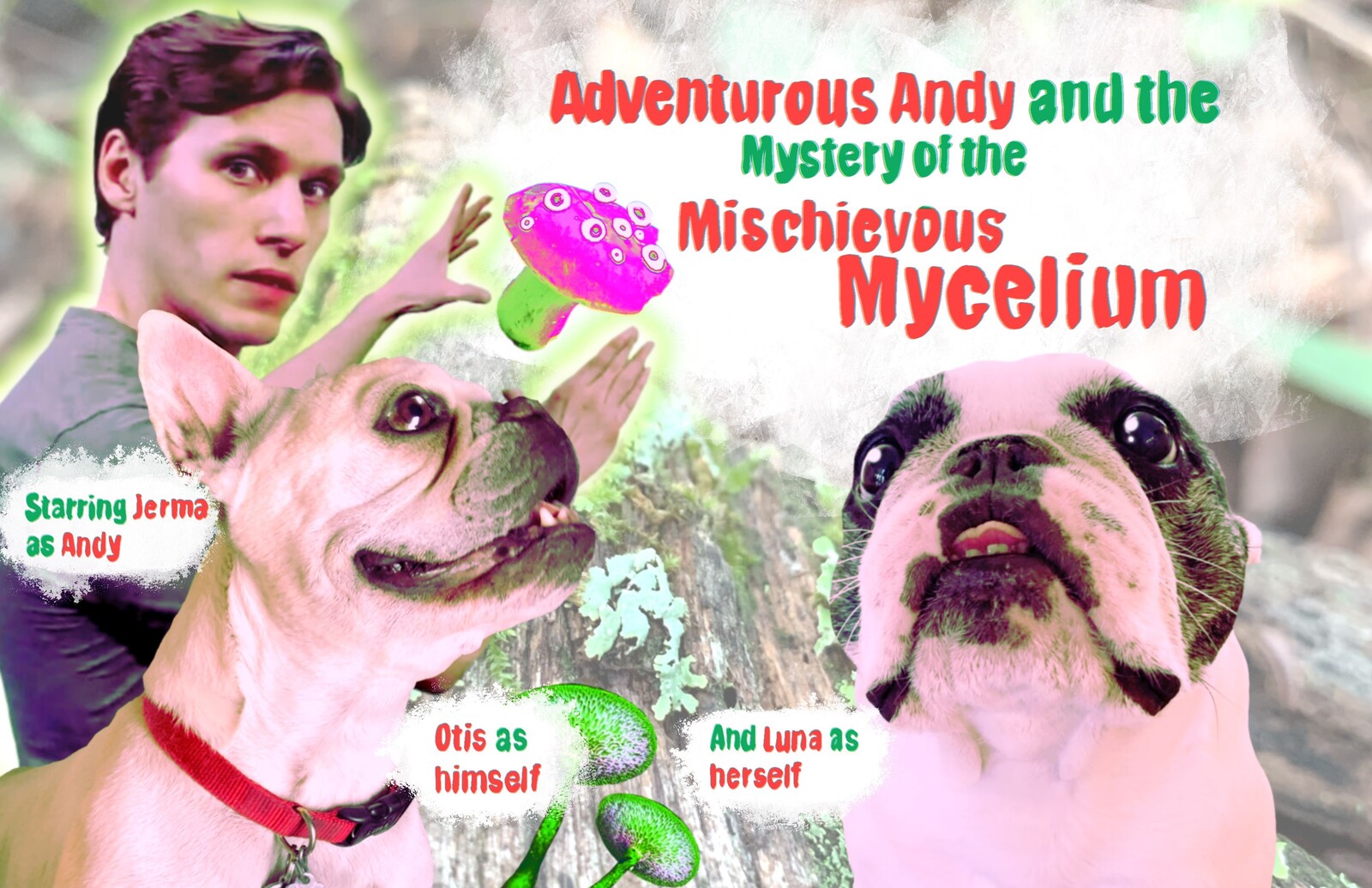 Digital Collage of the front cover for "Adventurous Andy"