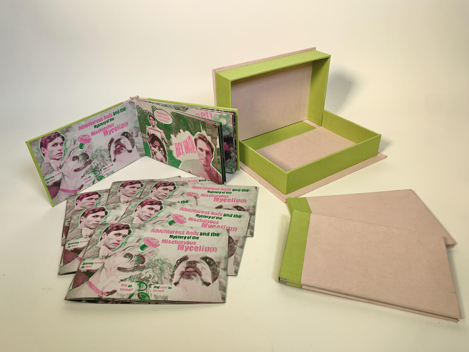 A spread of the various parts made for this project. It shows the clamshell box made for the booklets, the simple pamphlet stitch zines, as well as the drum-leaf bound books.