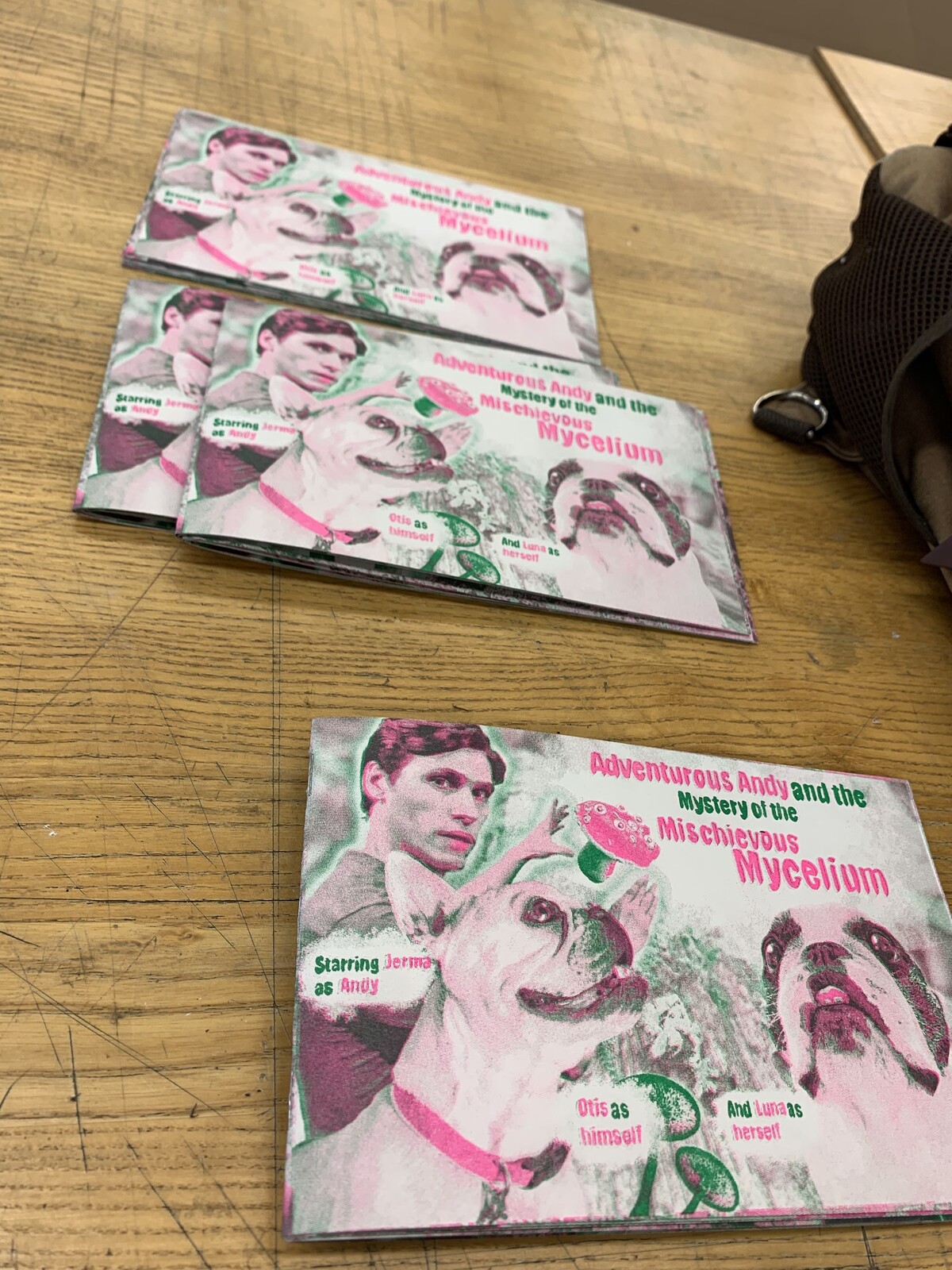 Another shot of some pamphlet stitch zines.