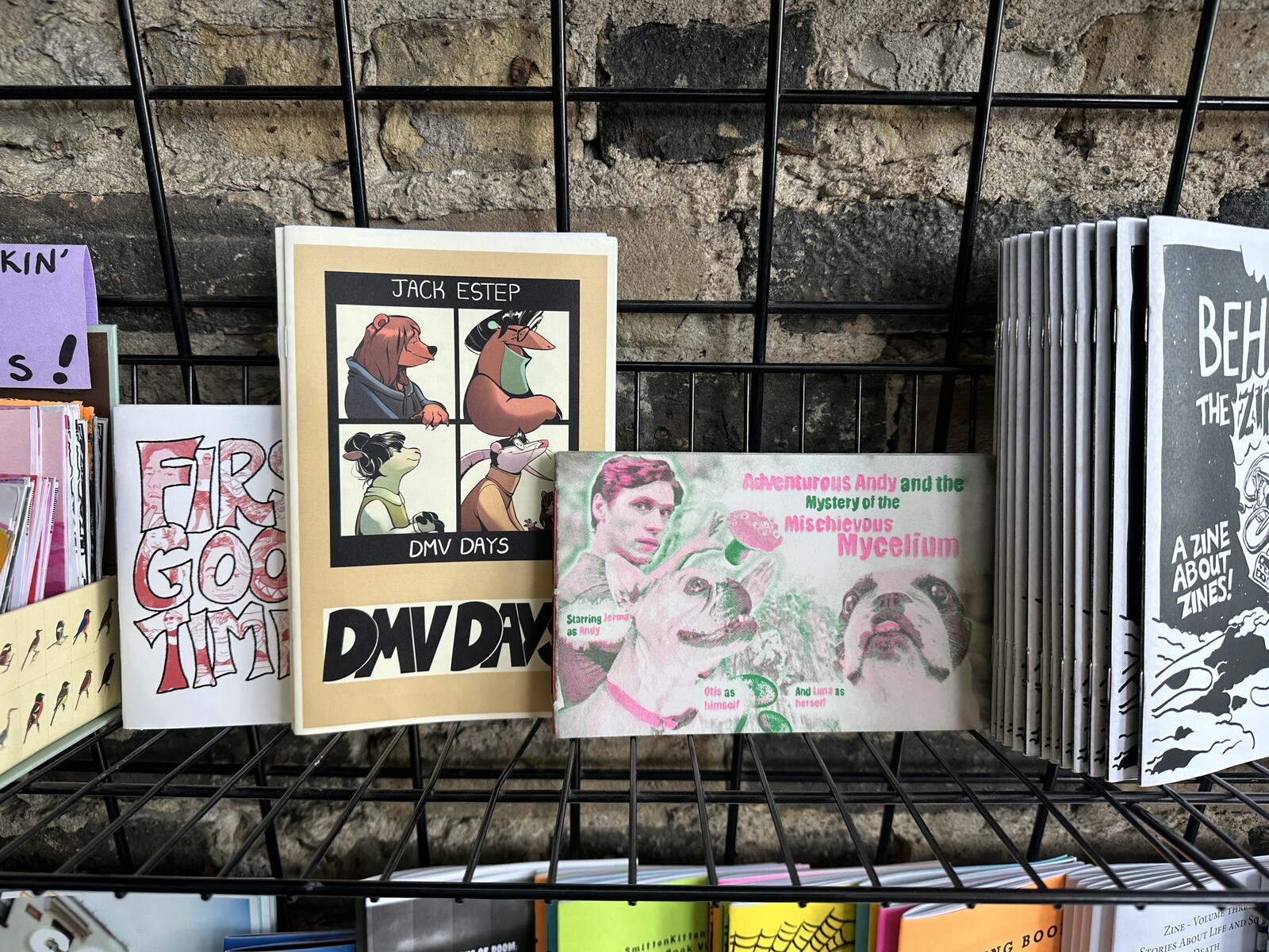 Picture of Adventurous Andy and DMV Days, another zine of mine, on the shelves being sold at Quimby's.