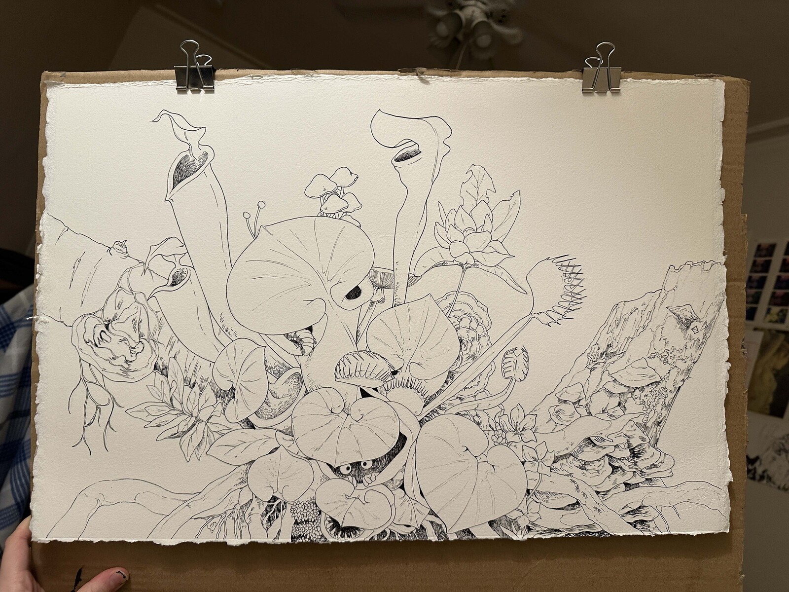 Progress of lining Wild Wonders