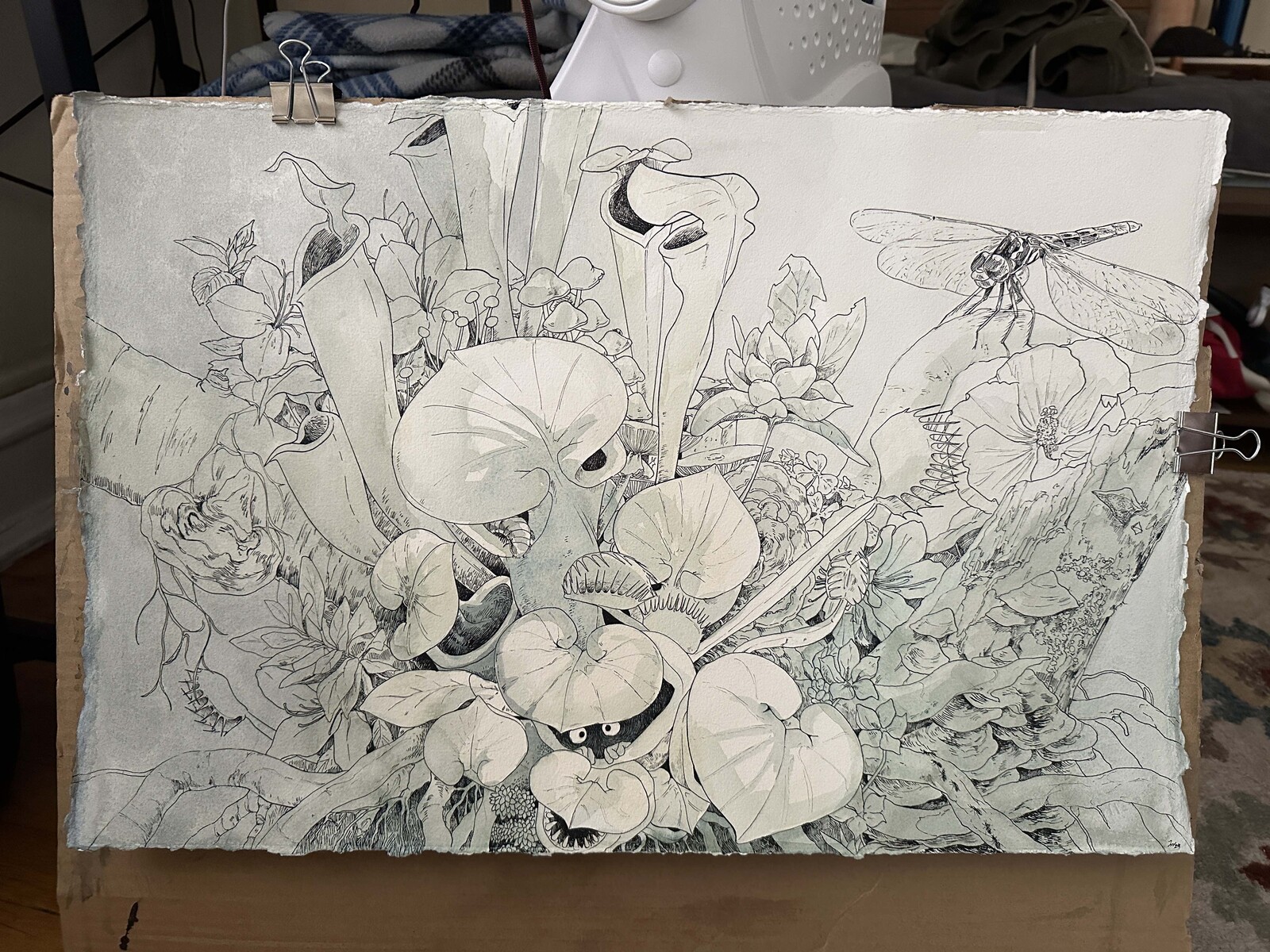 Shot of the first couple washes of Wild Wonders