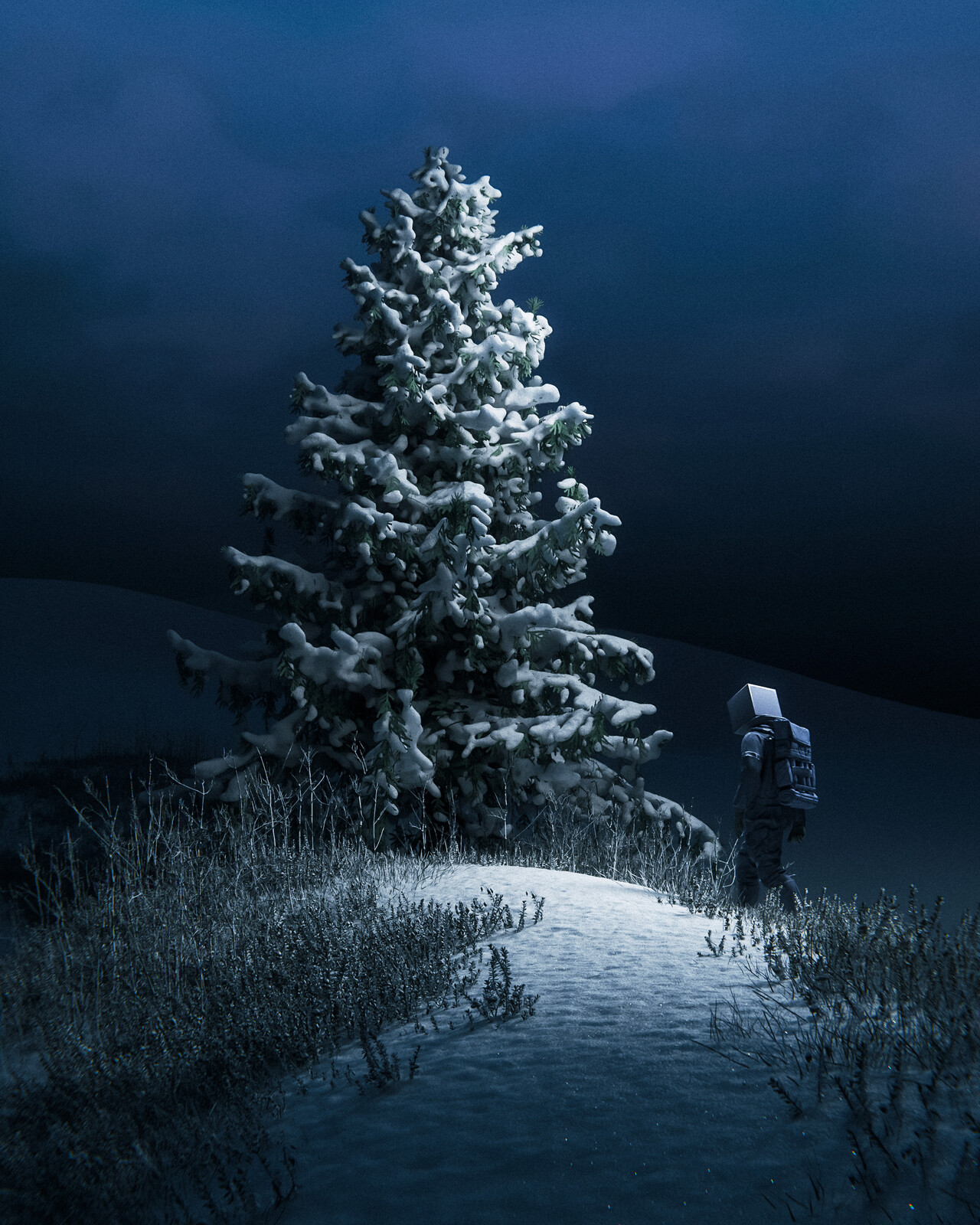winter hike