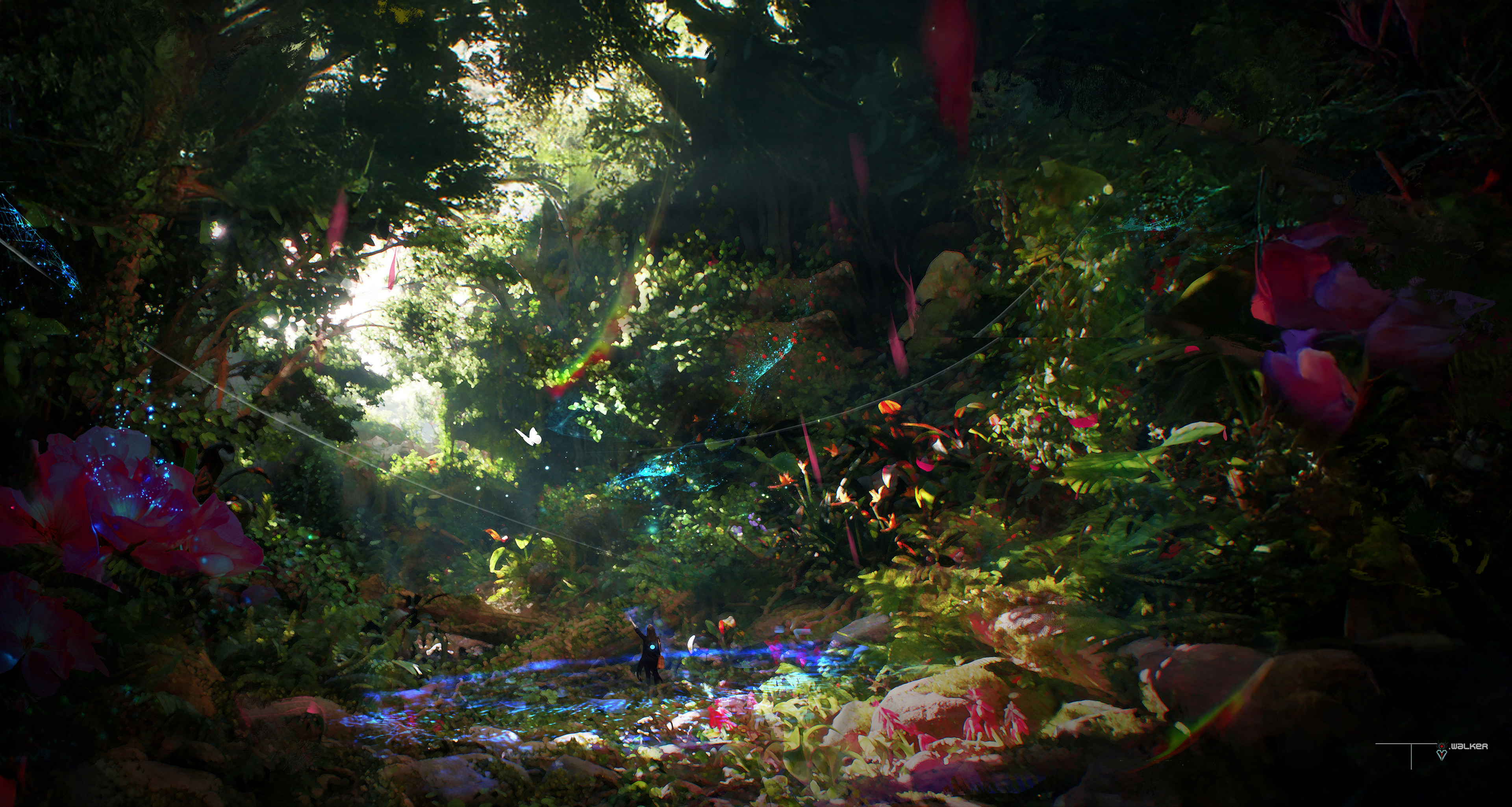 Wider shot of the forest