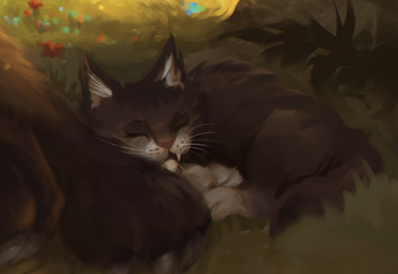 kitten2