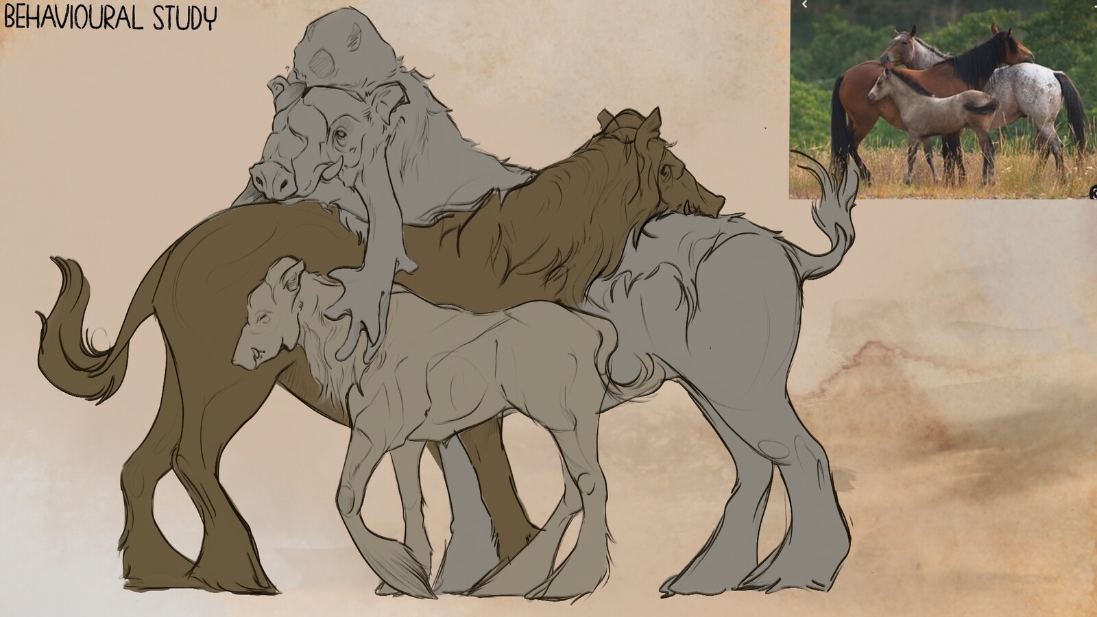 Family dynamic based upon real horse behaviour. Alluding to tight herd and family dynamics within the species.