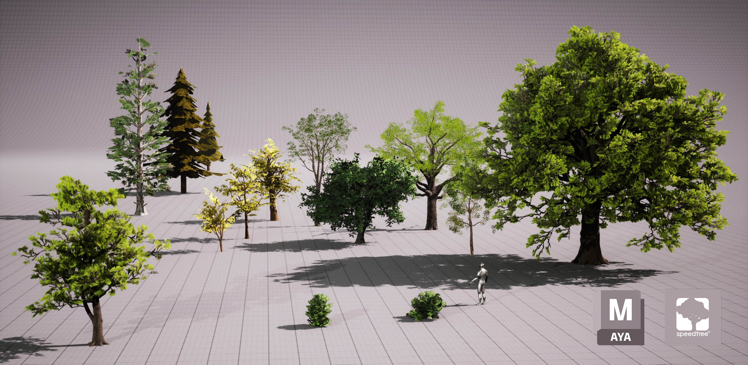 Tree Zoo.
All of the trees are made in SpeedTree Games except the 2 Pine Trees in the back (poly-modeled).