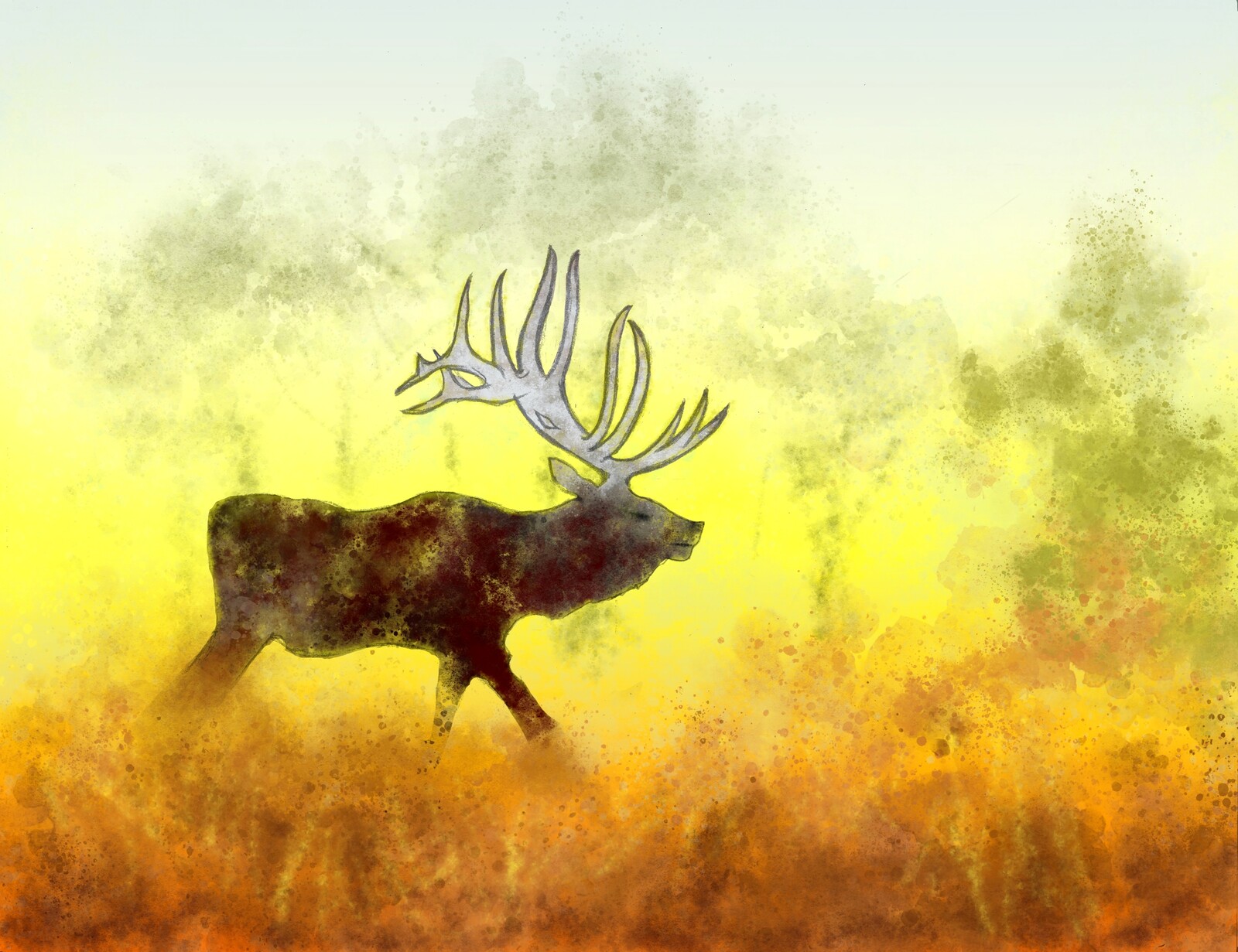 Elk for Gary