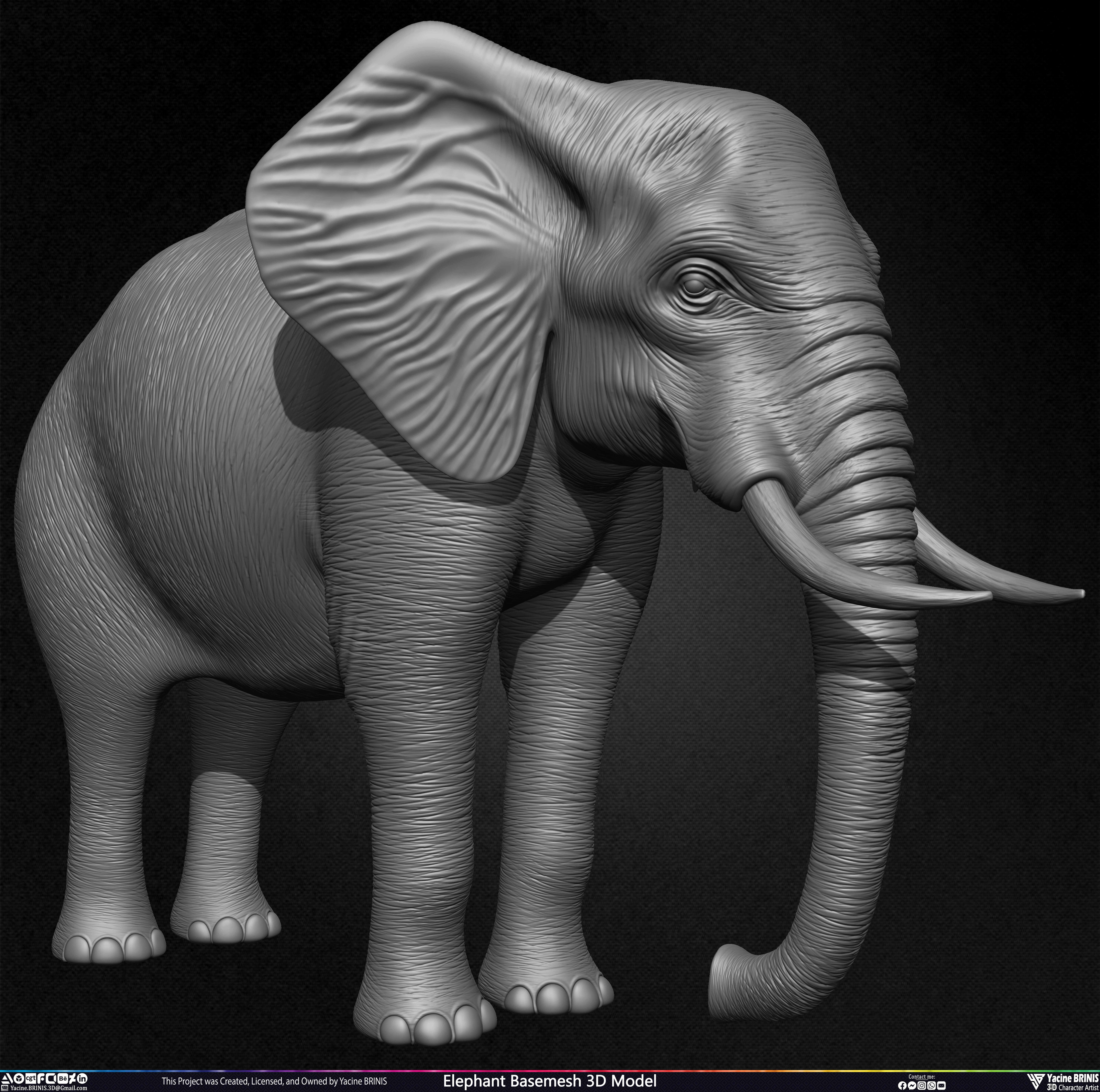 Elephant Basemesh 3D Model Animal Sculpted by Yacine BRINIS Set 005