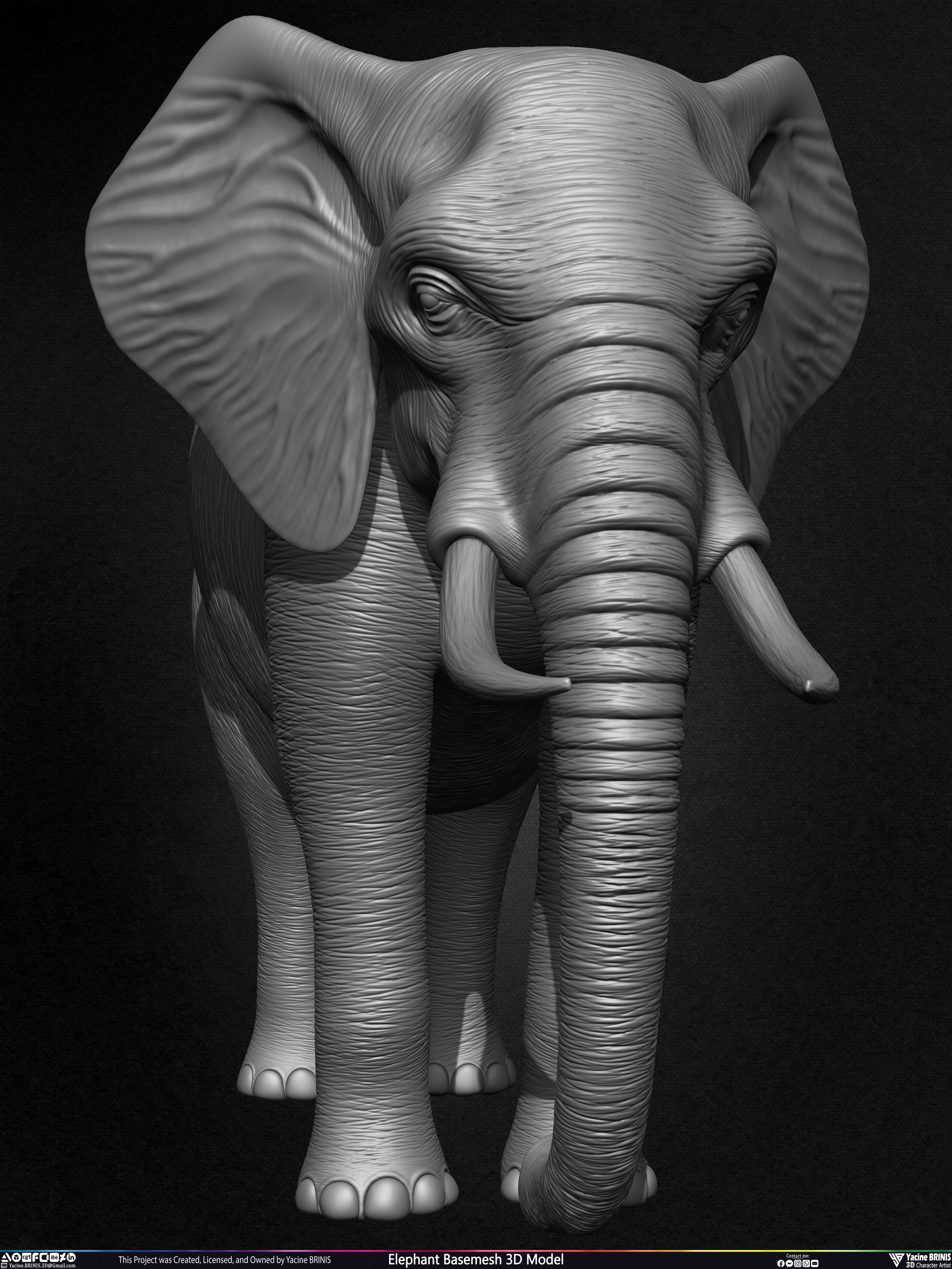 Elephant Basemesh 3D Model Animal Sculpted by Yacine BRINIS Set 008