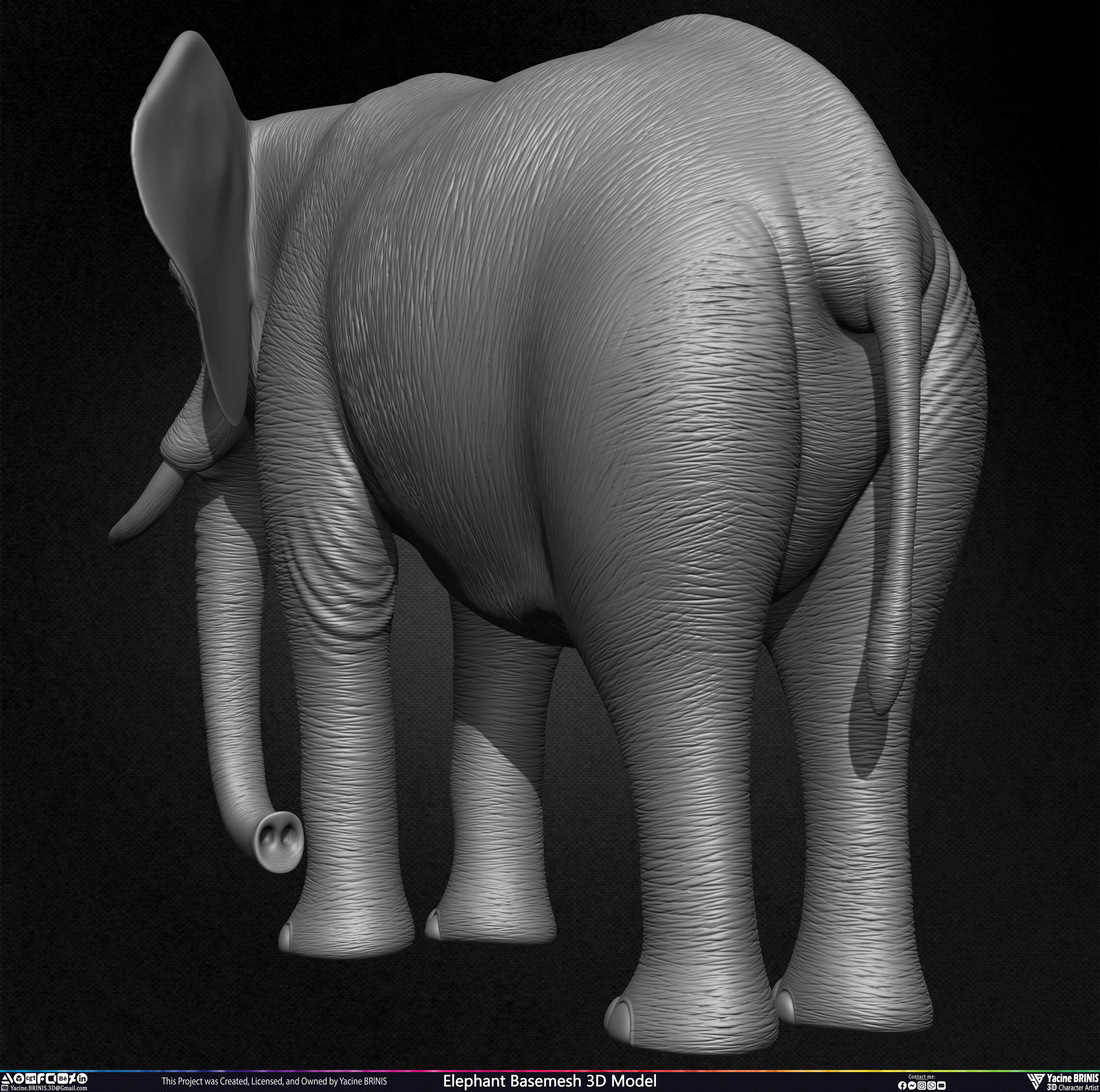 Elephant Basemesh 3D Model Animal Sculpted by Yacine BRINIS Set 017