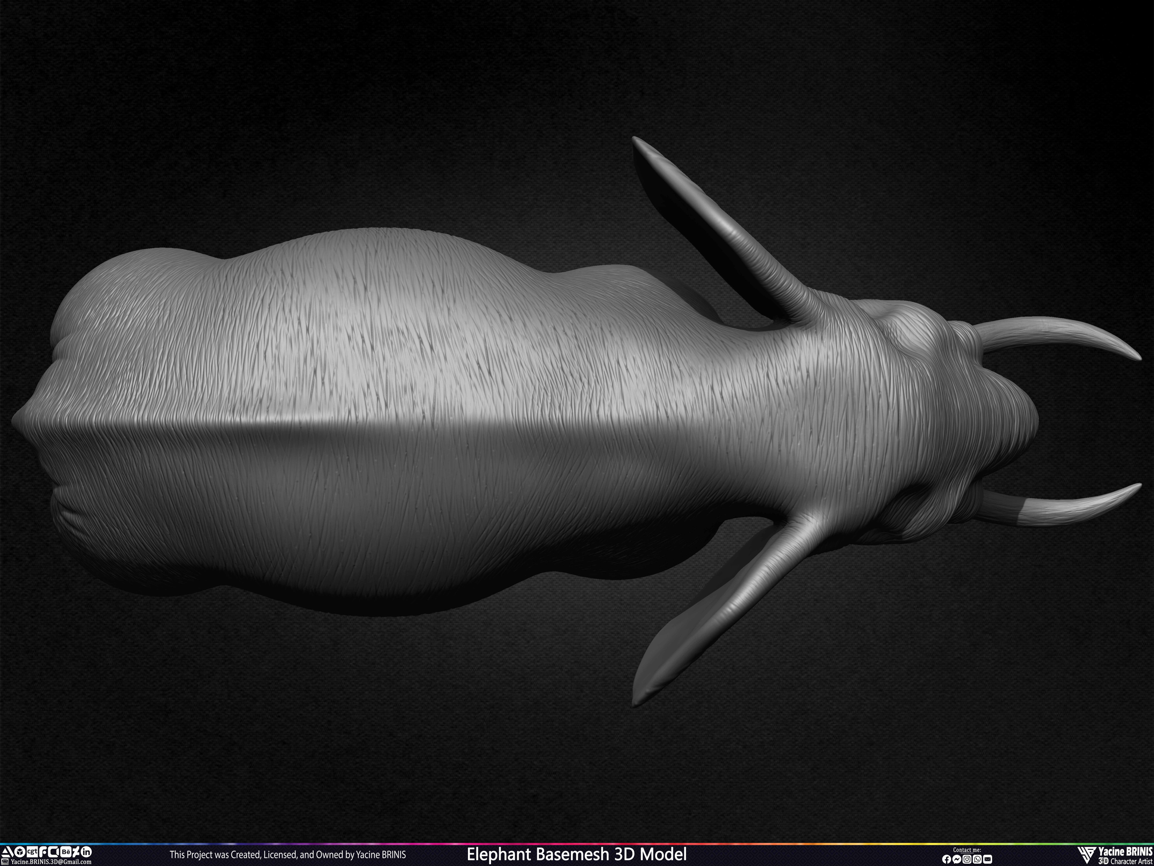 Elephant Basemesh 3D Model Animal Sculpted by Yacine BRINIS Set 023