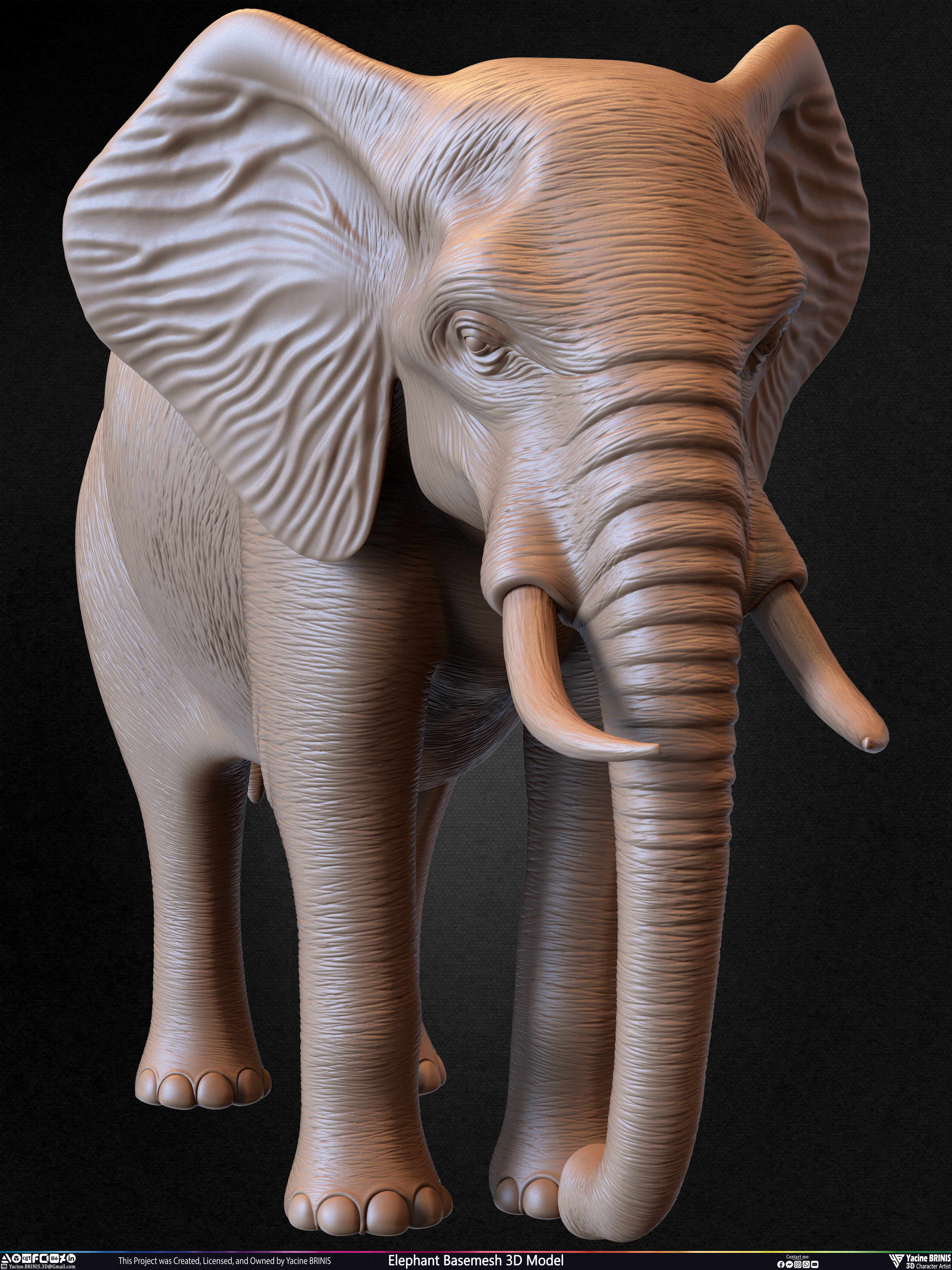 Elephant Basemesh 3D Model Animal Sculpted by Yacine BRINIS Set 027