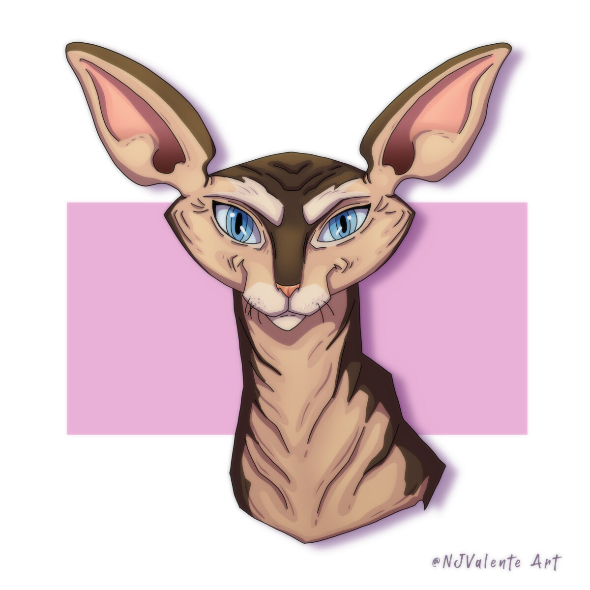 Sphinx kitty